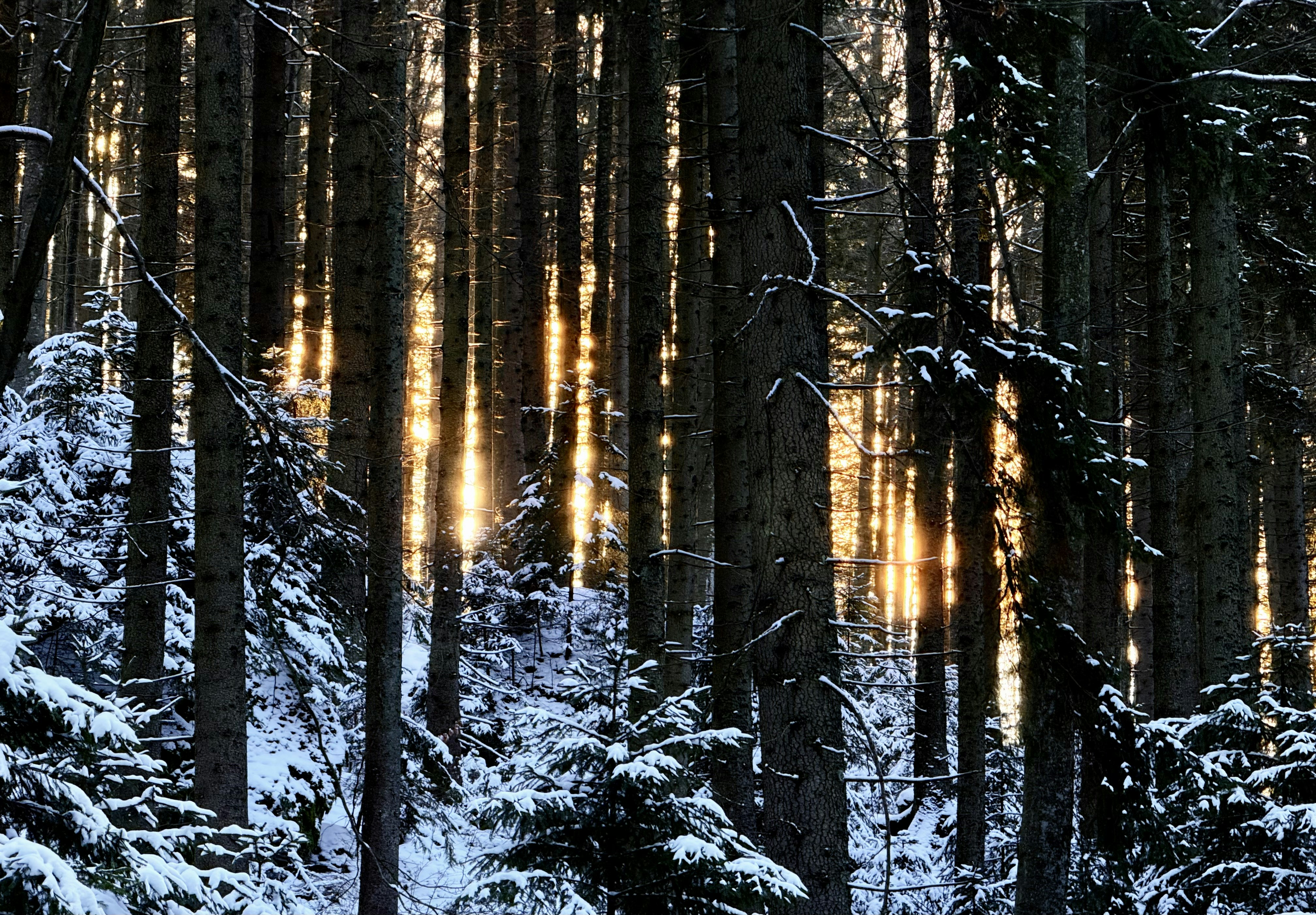 Photo by mihaly_koles