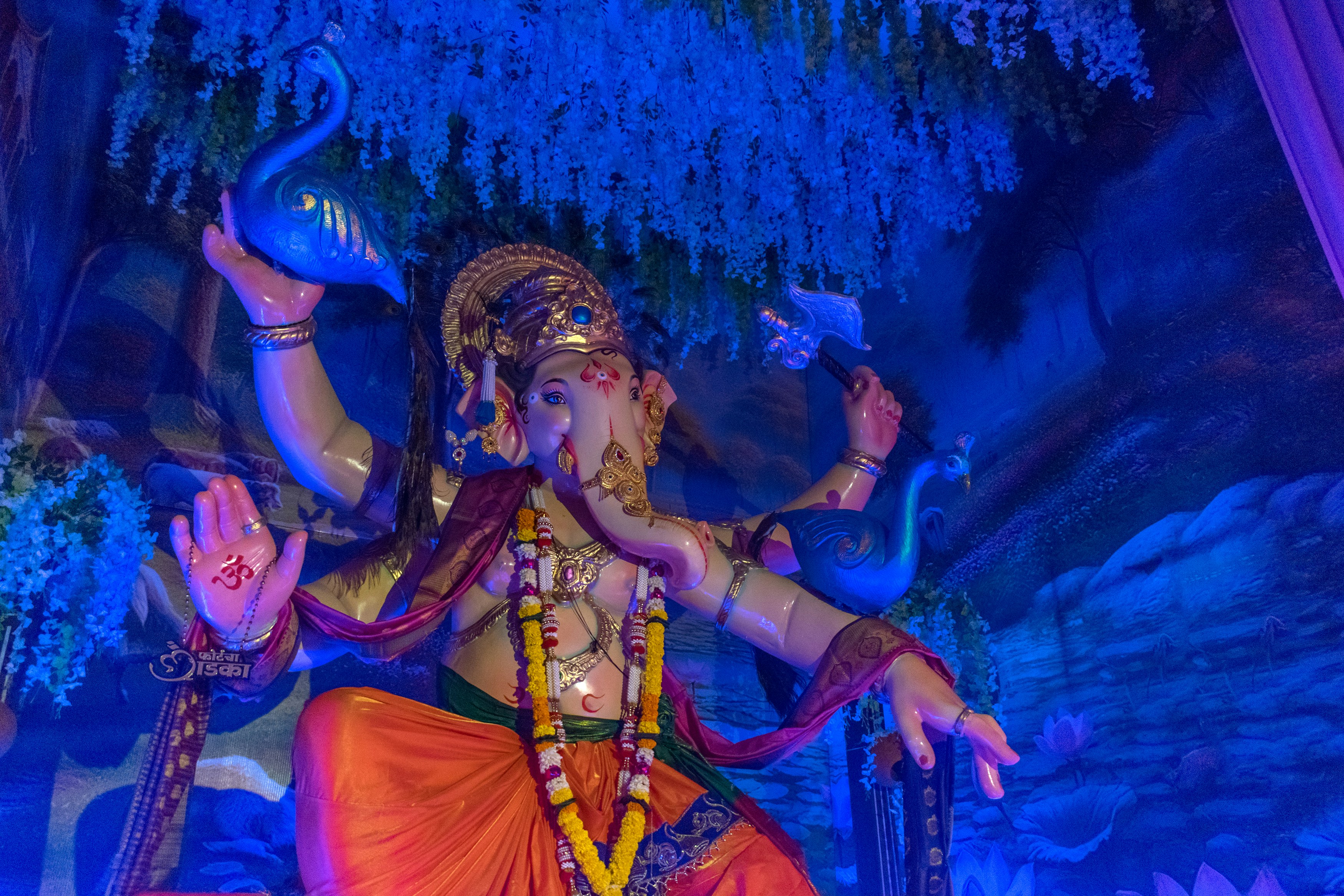 Photo by sonika_agarwal