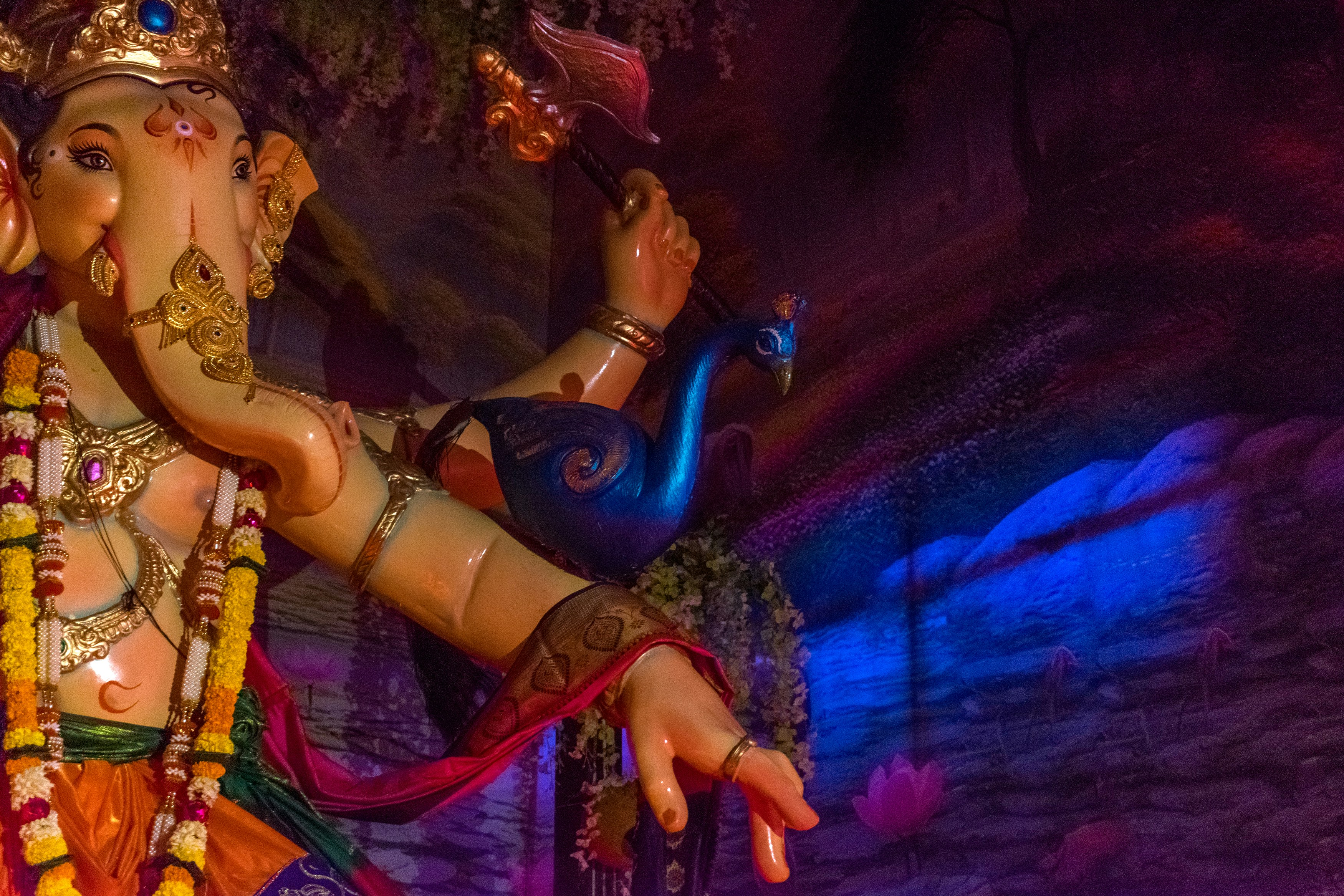 Photo by sonika_agarwal