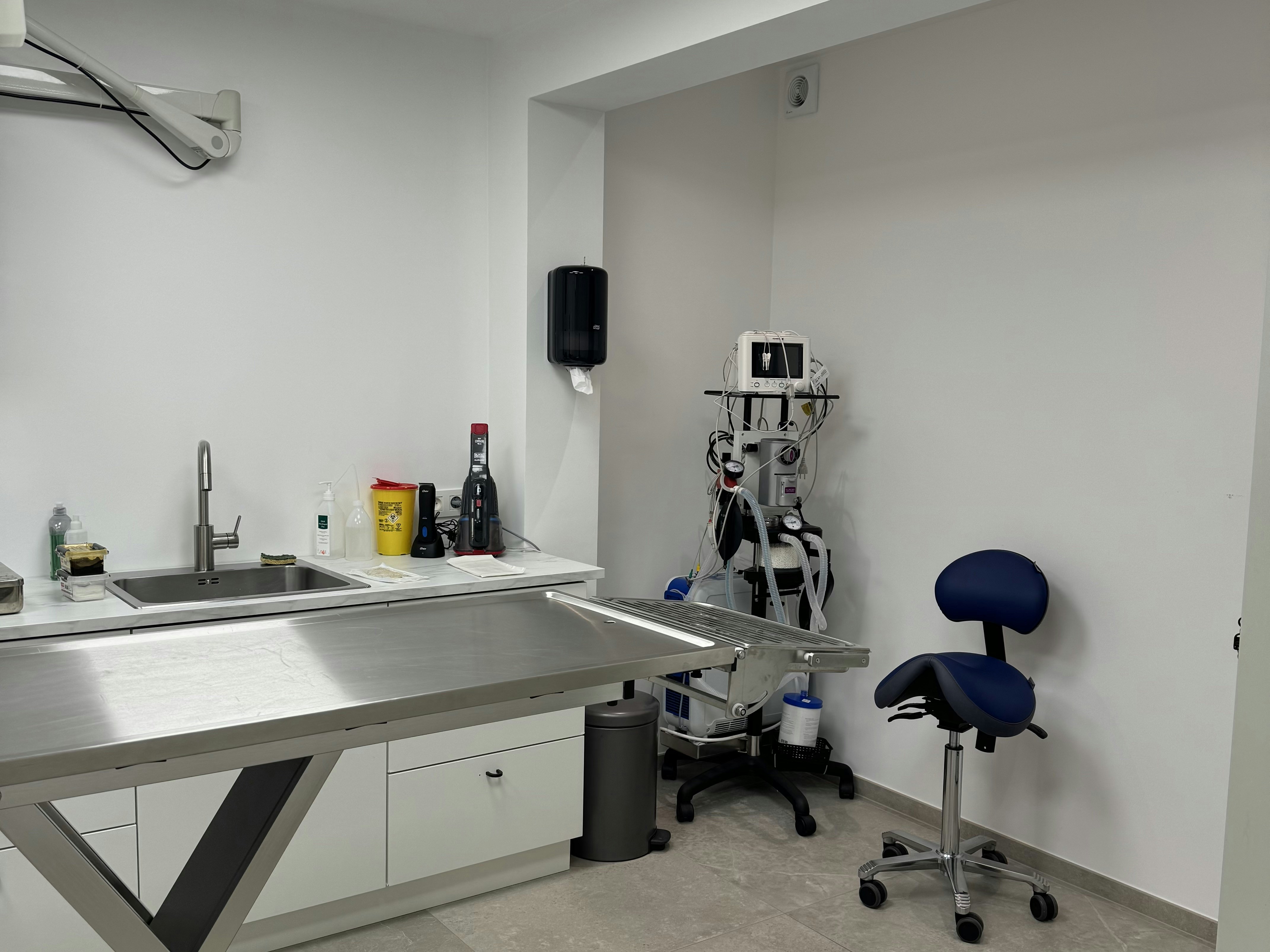 Professional veterinary examination room with stainless steel table and medical equipment