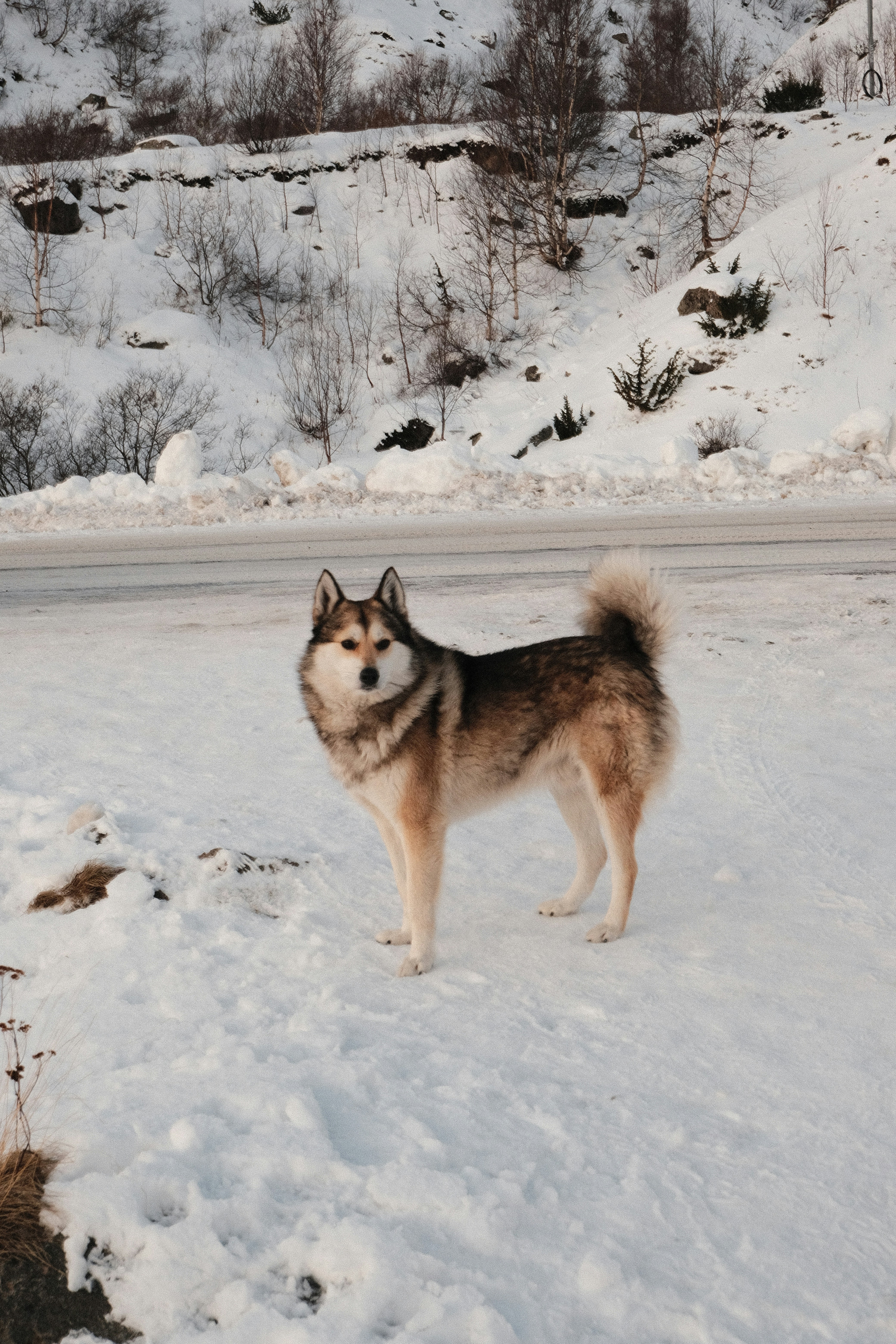 Photo by tatianarudneva