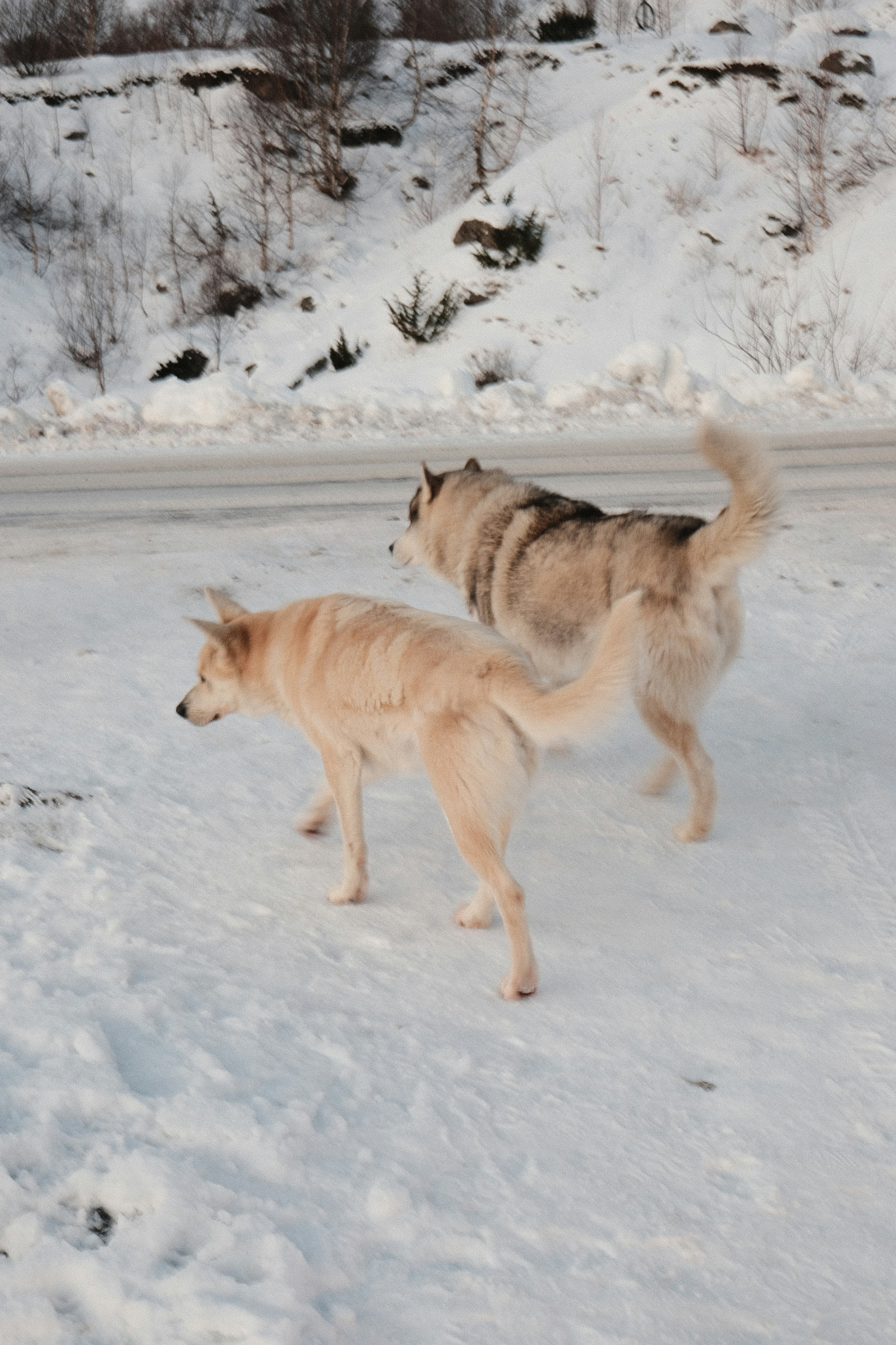 Photo by tatianarudneva