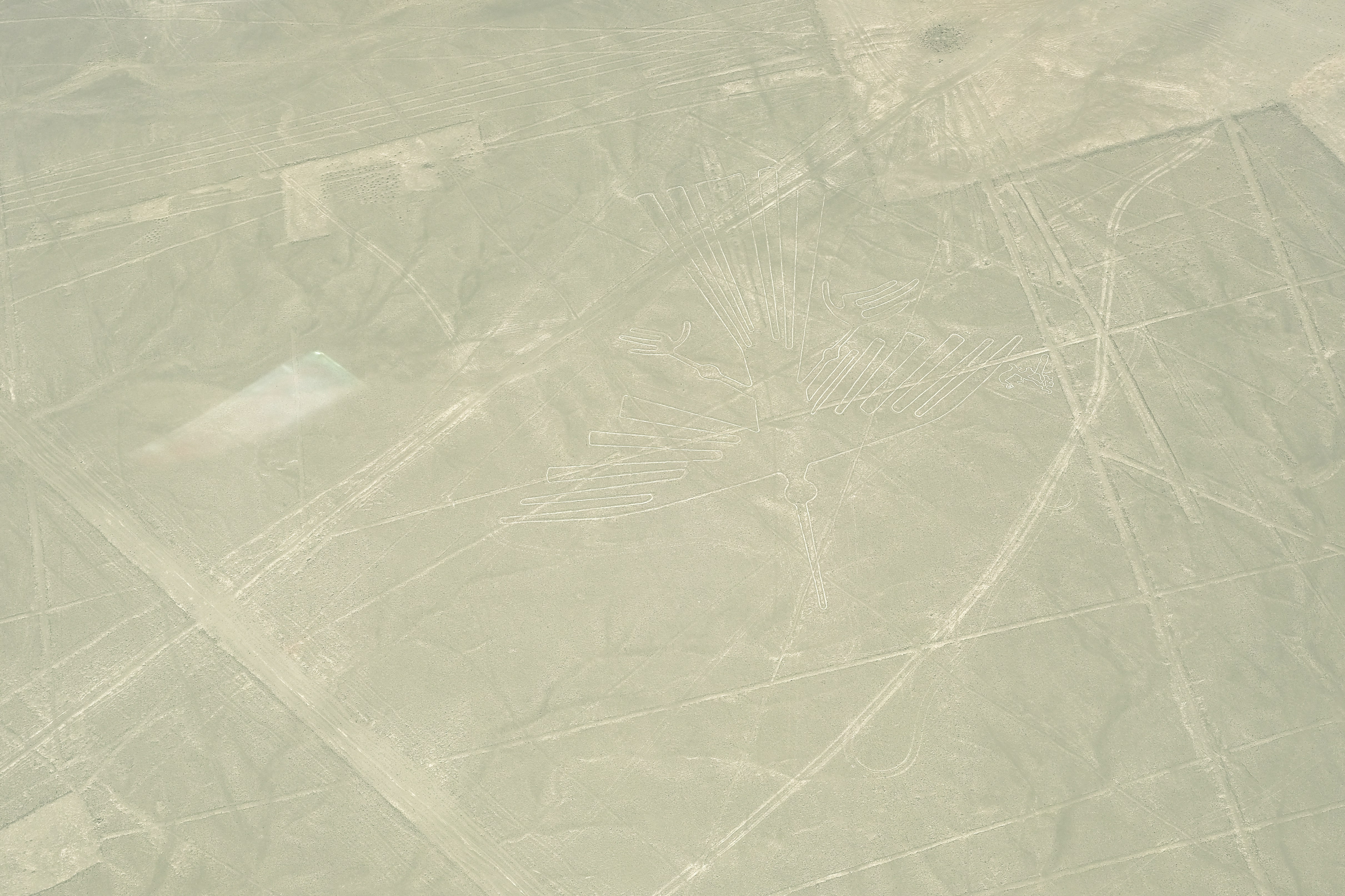 Nazca, Peru - None