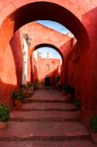 A narrow alley way with potted plants on either side