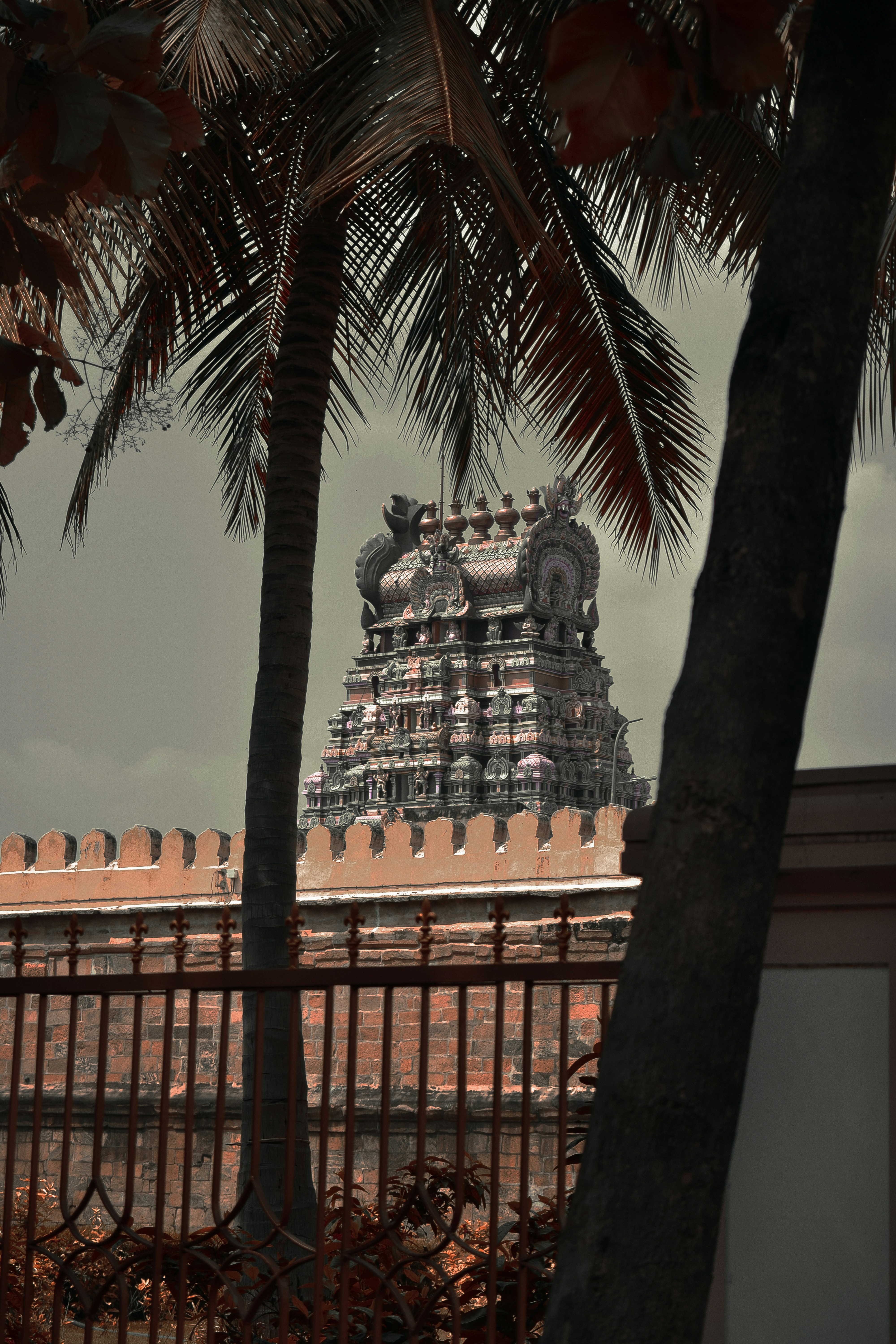 A view of a building through a fence