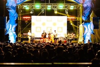 A large crowd of people at a concert