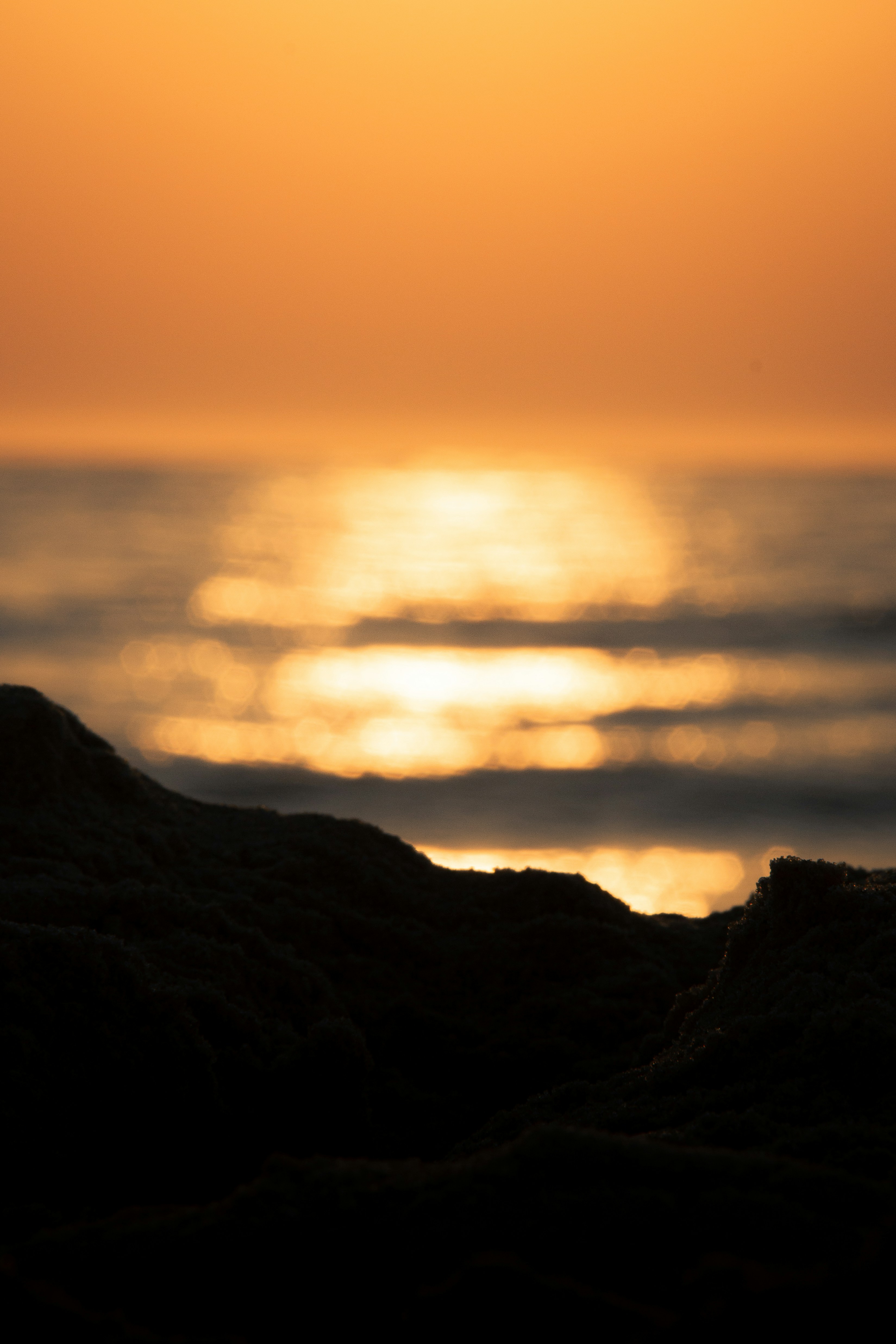 Photo by gchab_photography