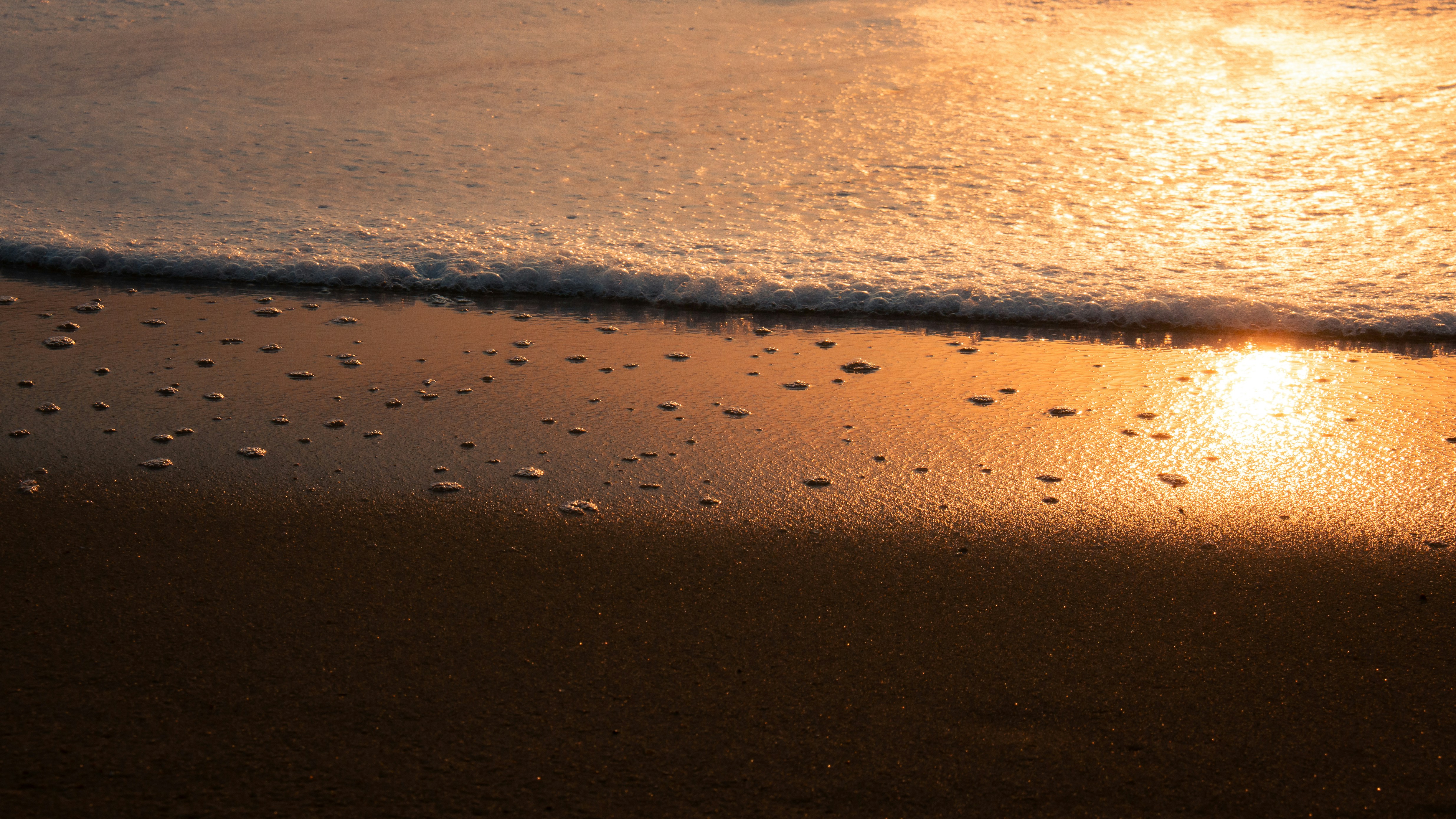 Photo by gchab_photography