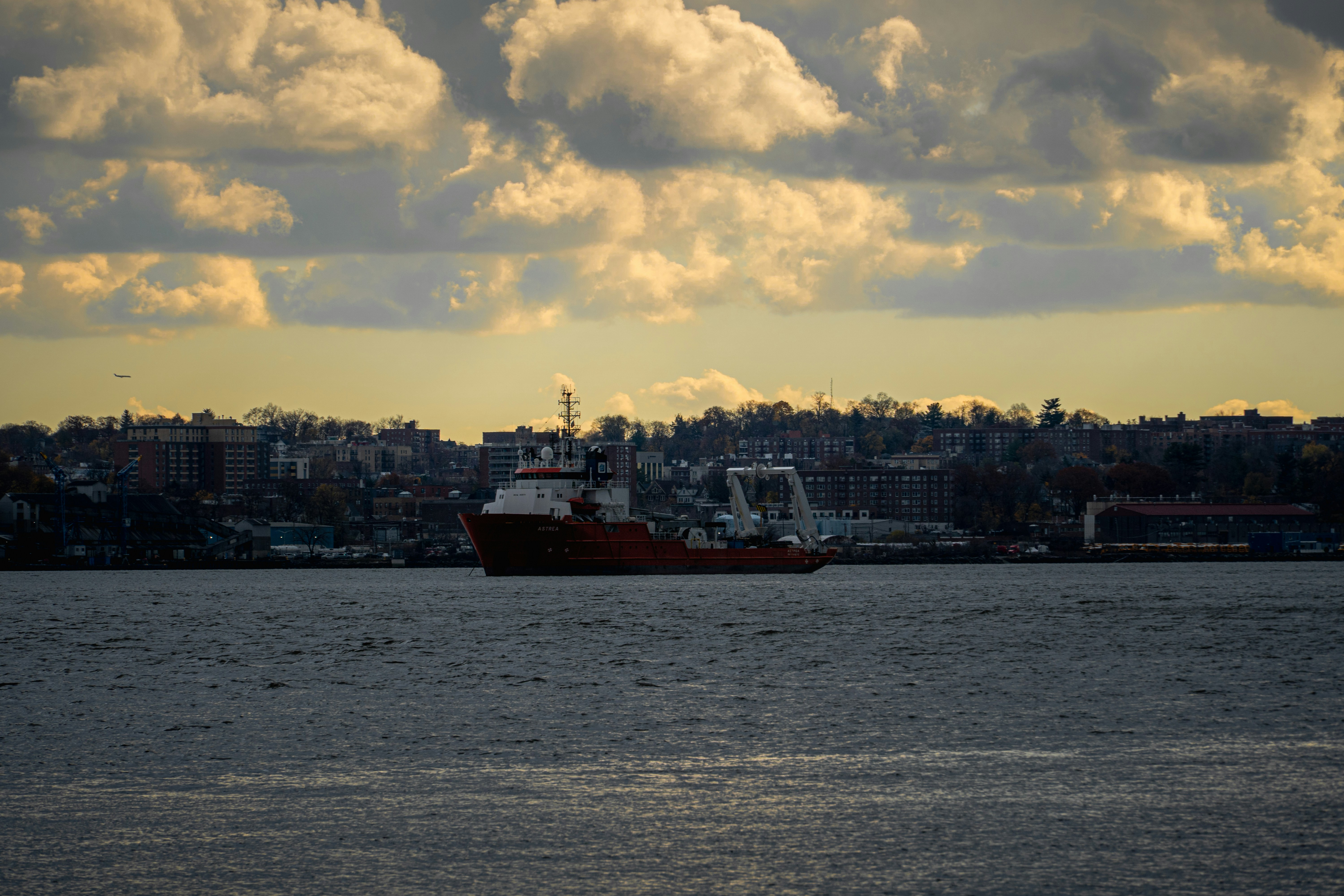 Photo by seandogjani