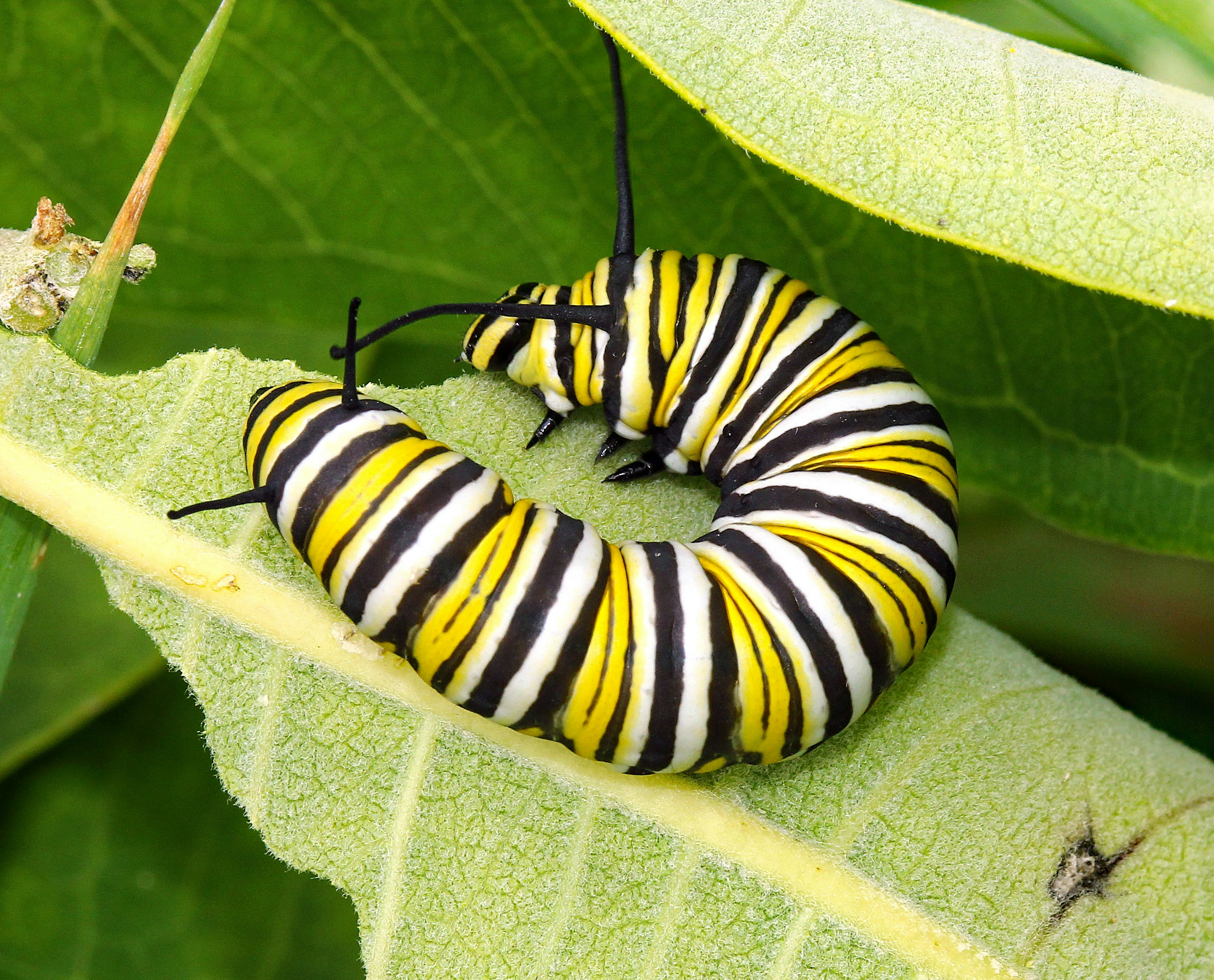 Photo by telliottmbamsc