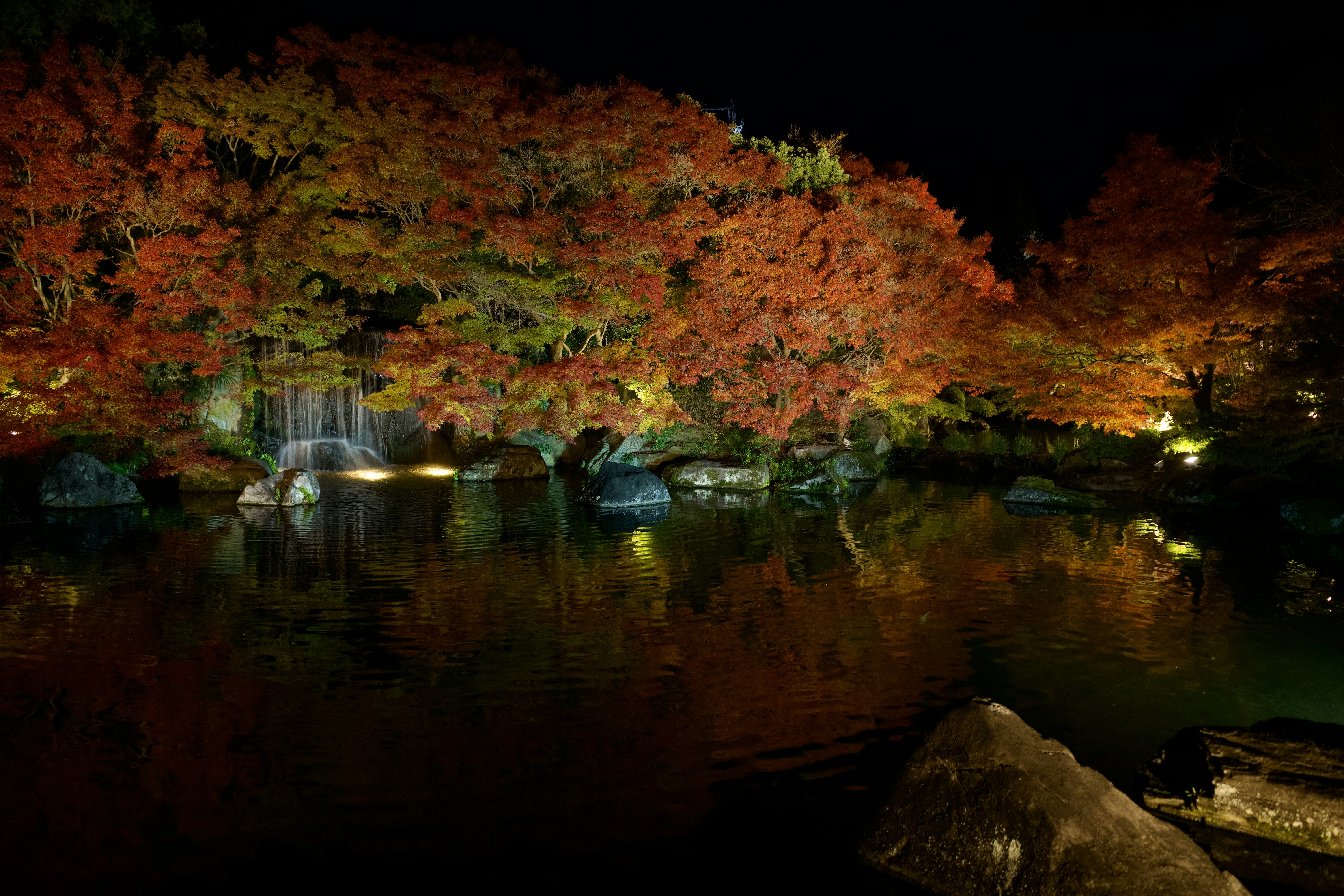 A lake surrounded by trees in the night