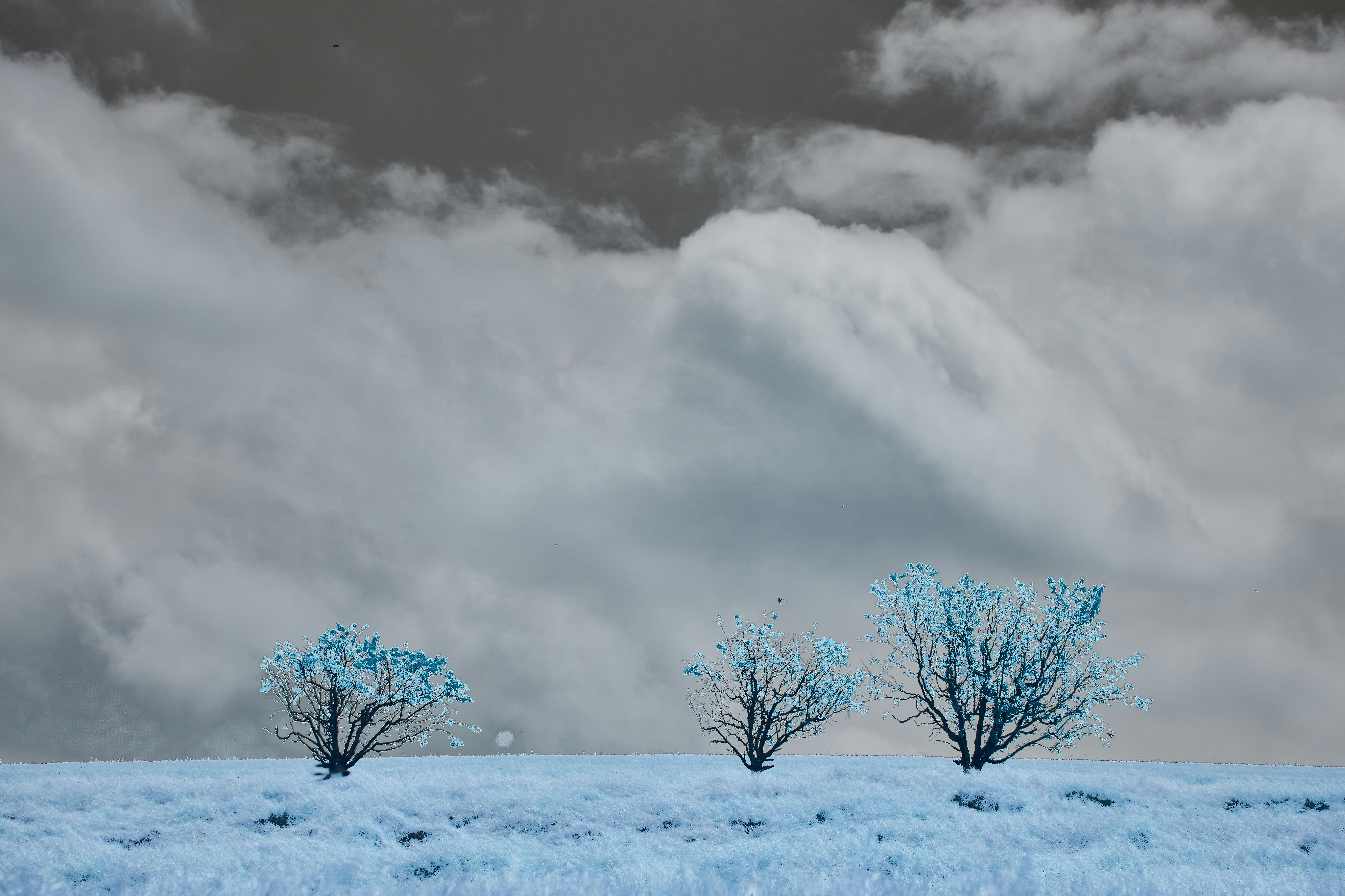 Photo by wolfgang_hasselmann