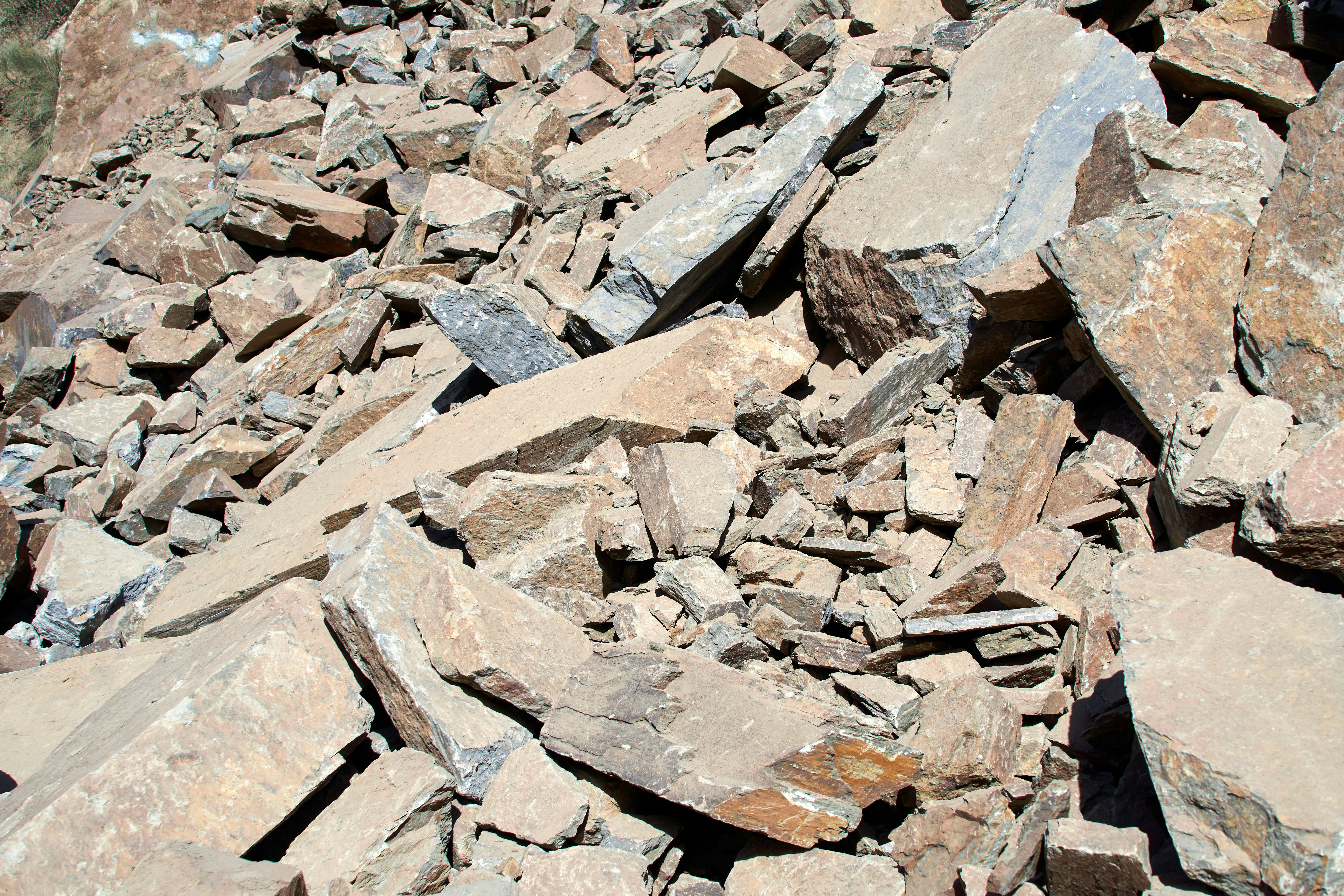 Photo by wolfgang_hasselmann