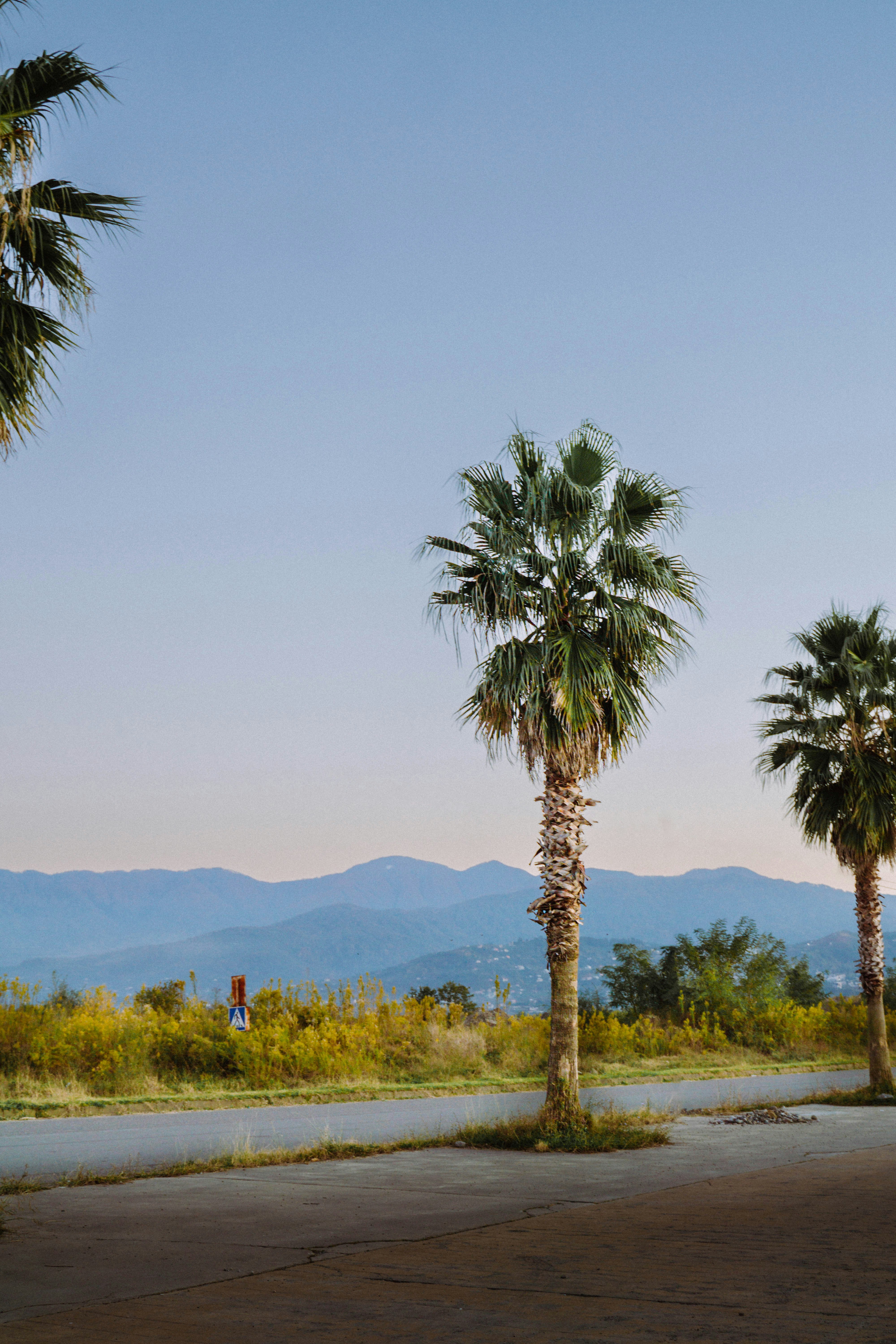 Sarpi and the Turkish Border: Beach Towns and Cross-Cultural Experiences