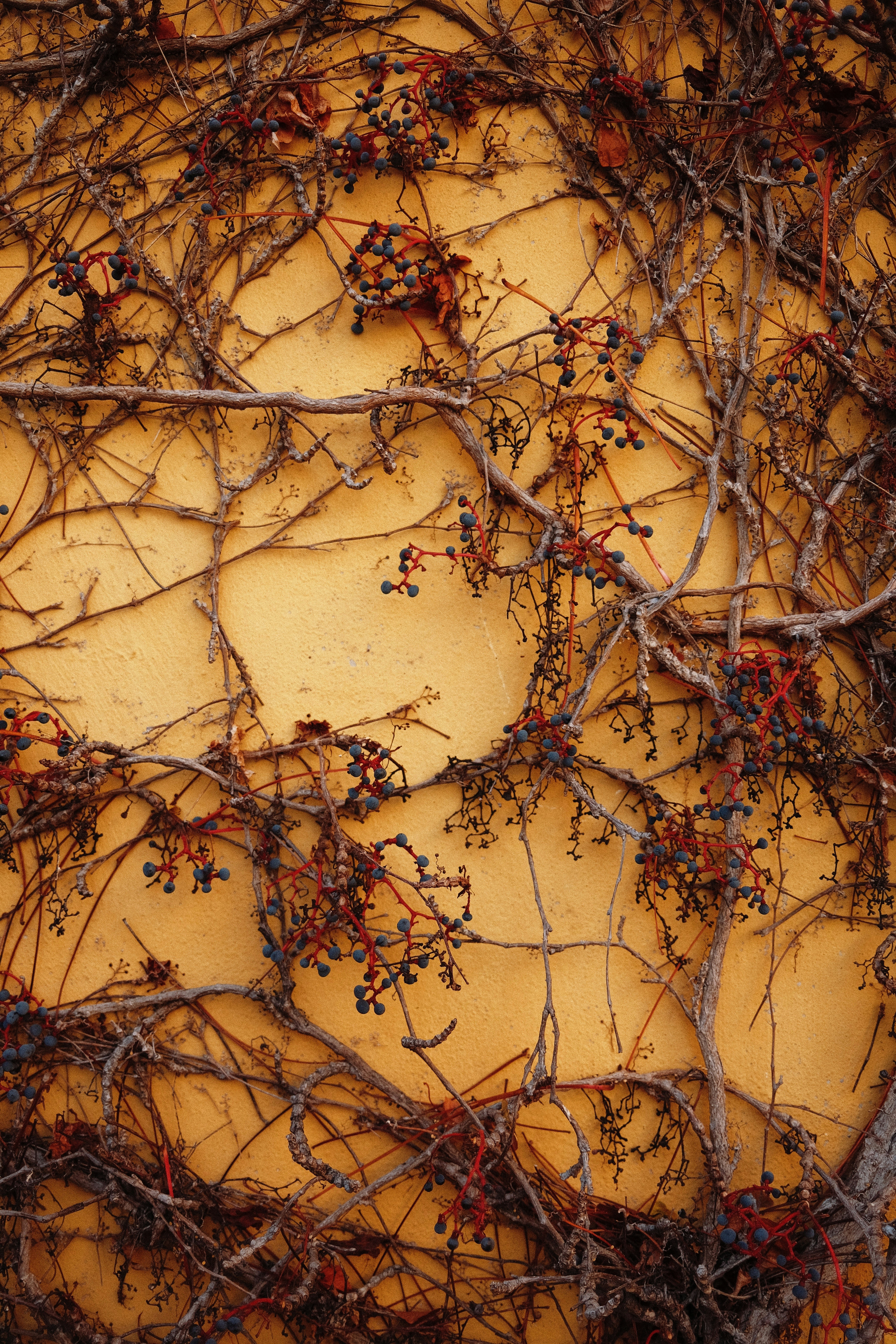 Photo by marinareich