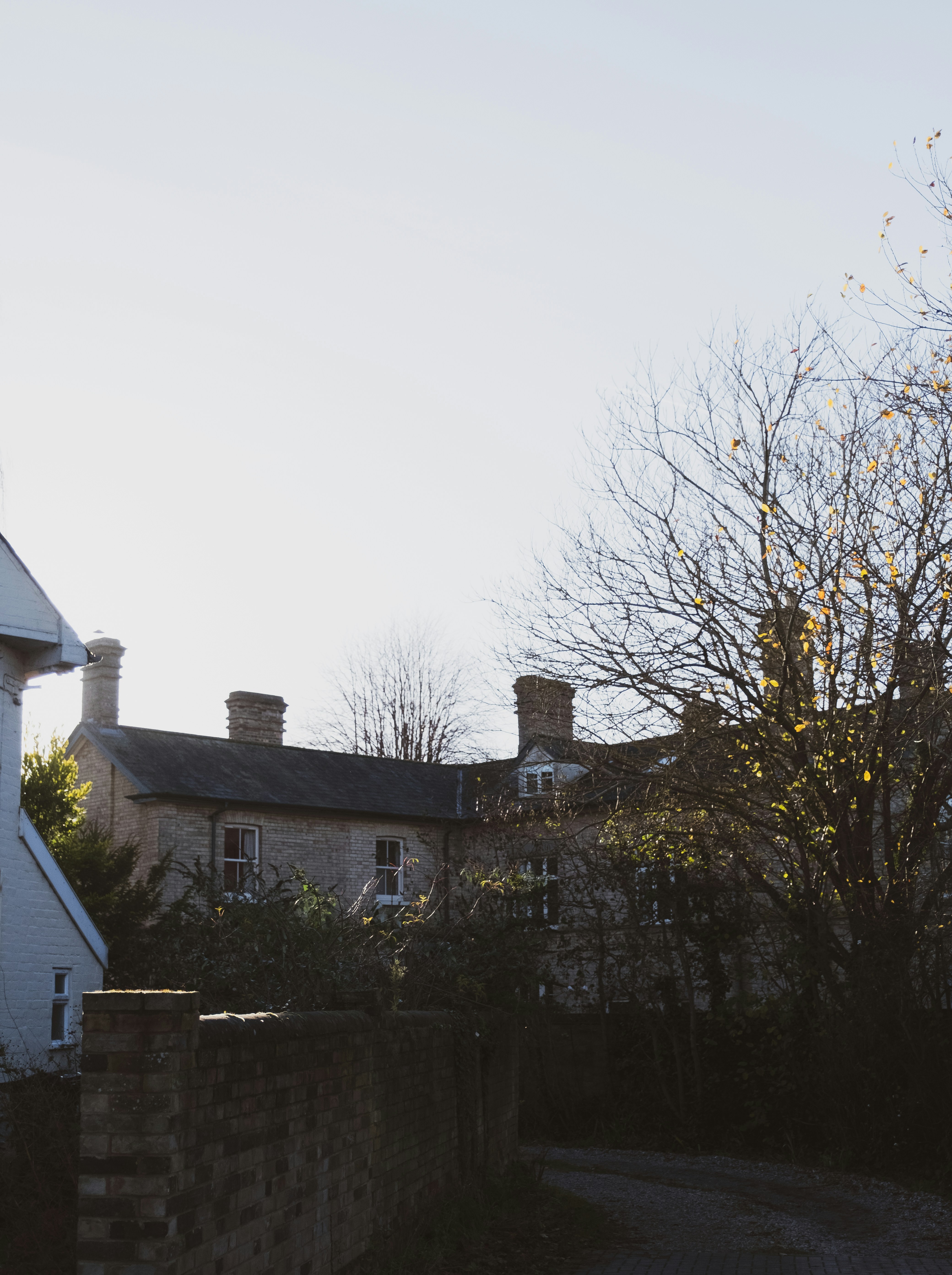 Photo by walkerdesignco