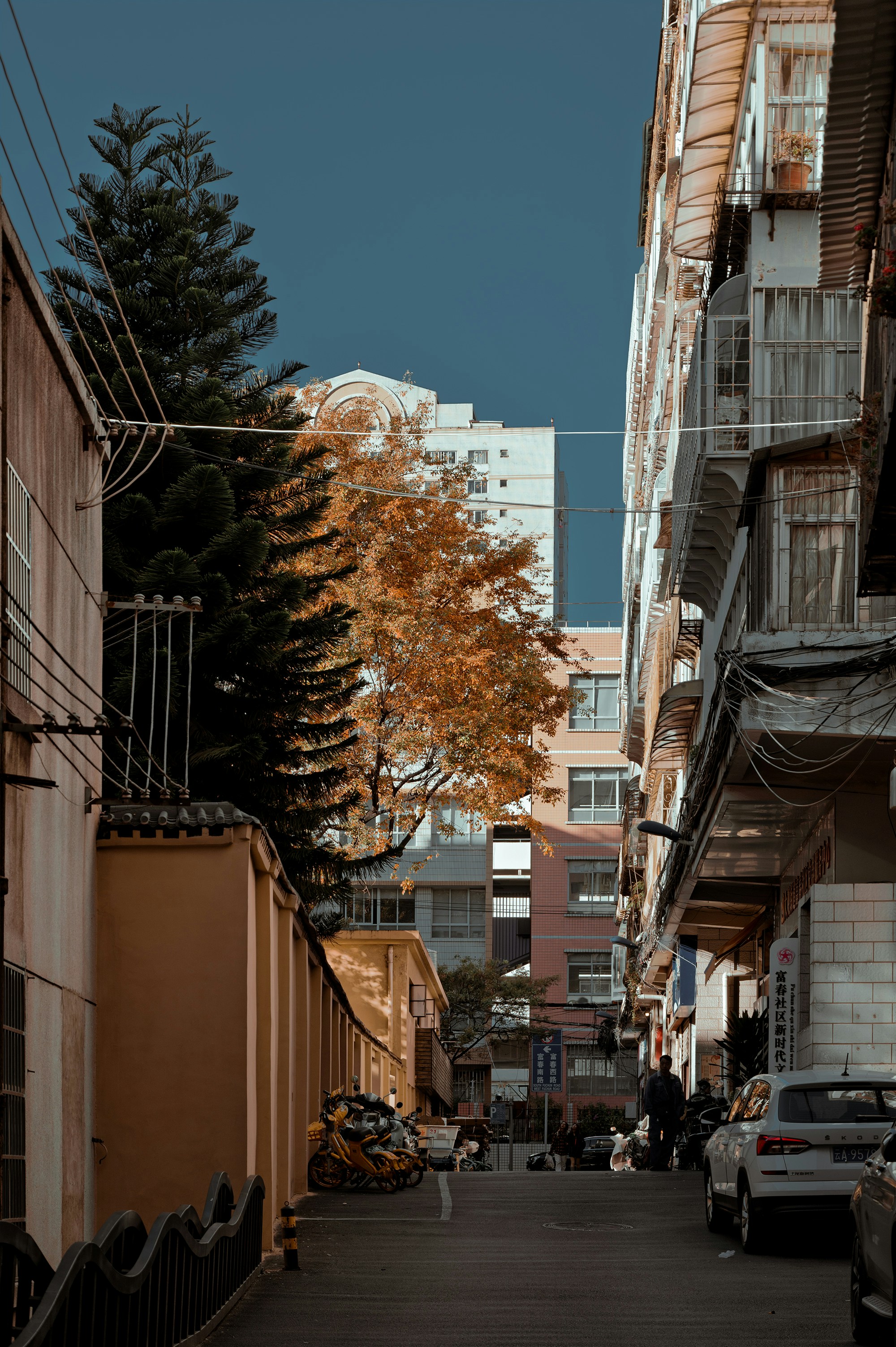Photo by vincent_tint