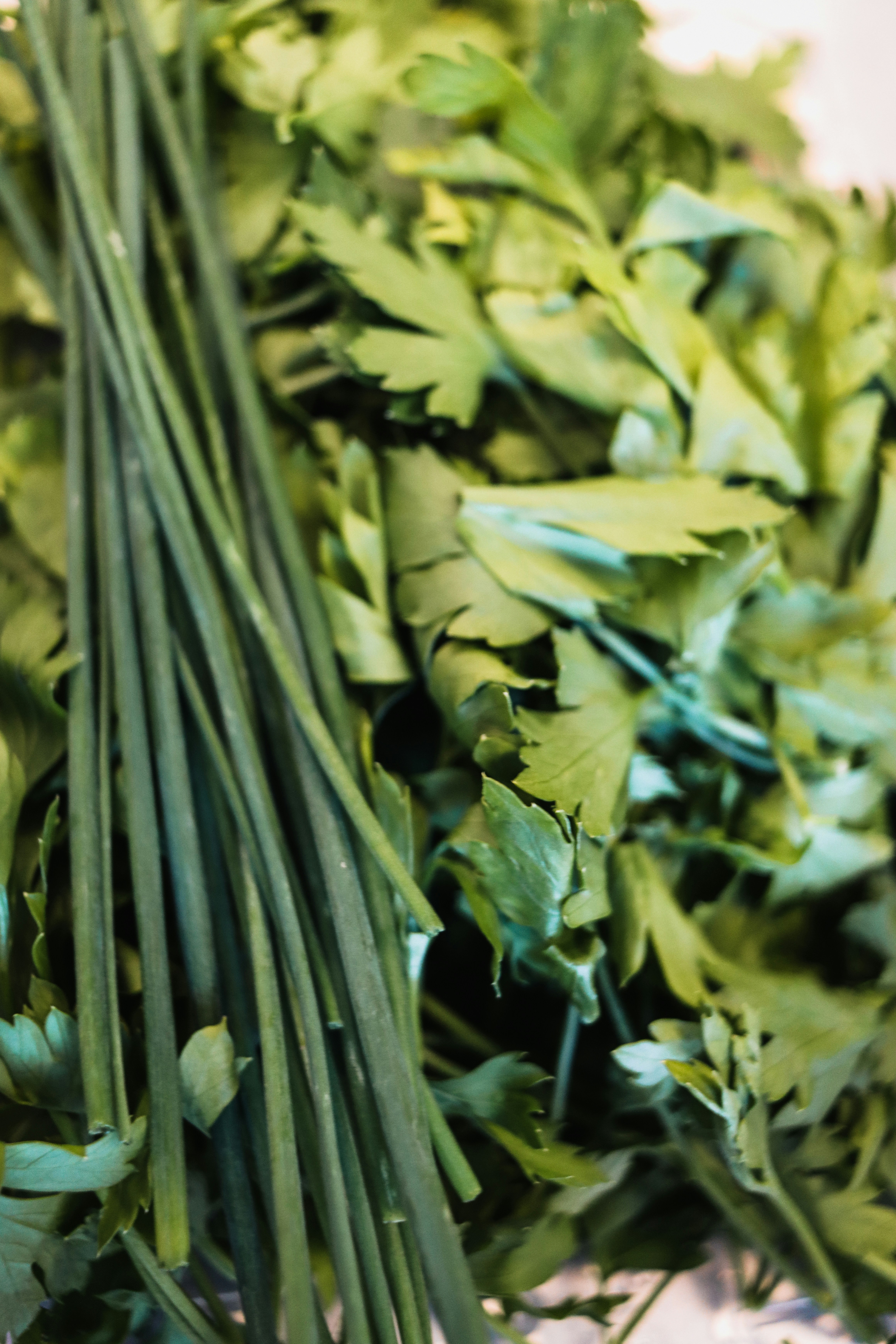 Photo by ledainelliott