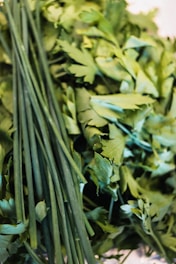 A pile of green leaves sitting on top of a table