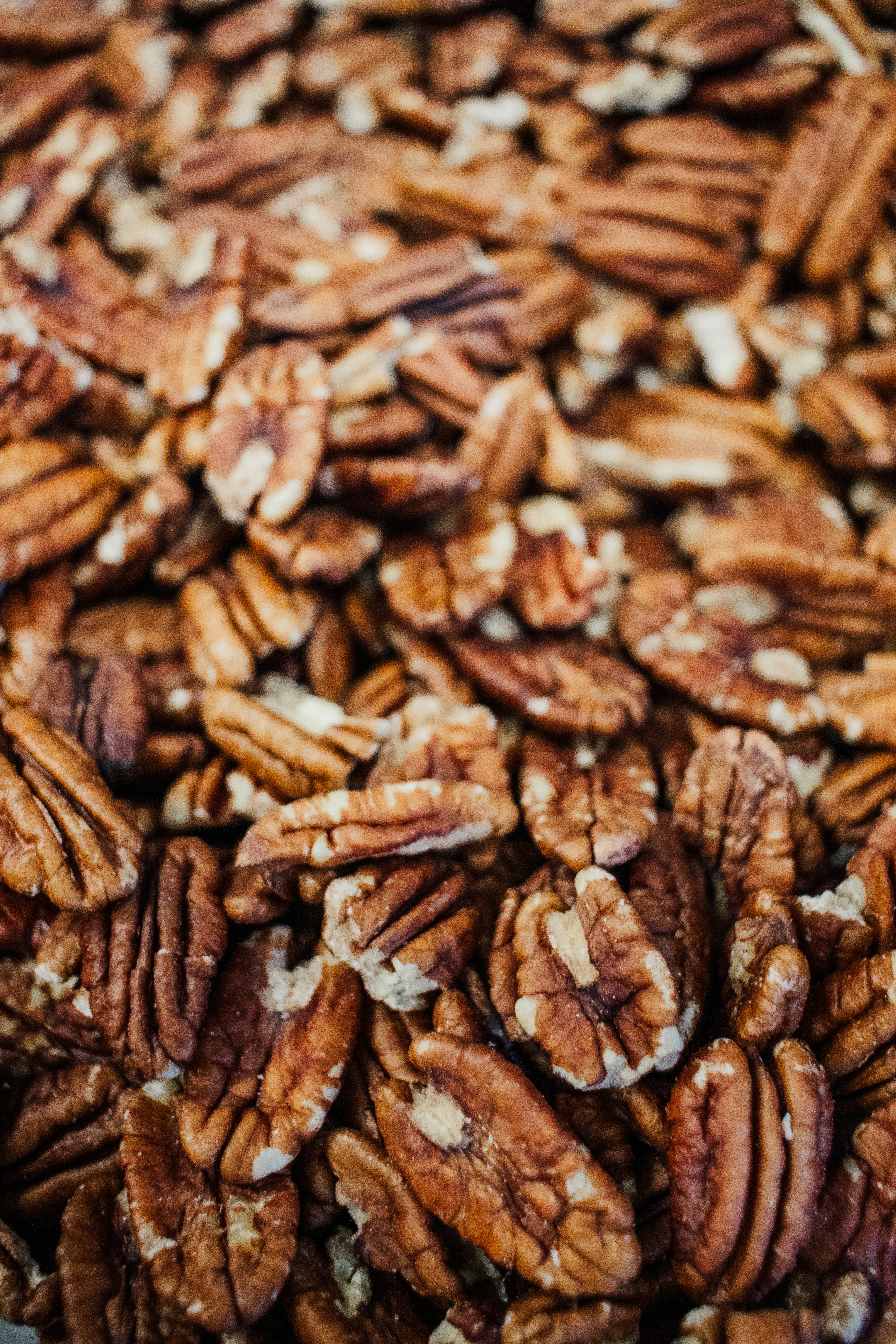 Photo by ledainelliott