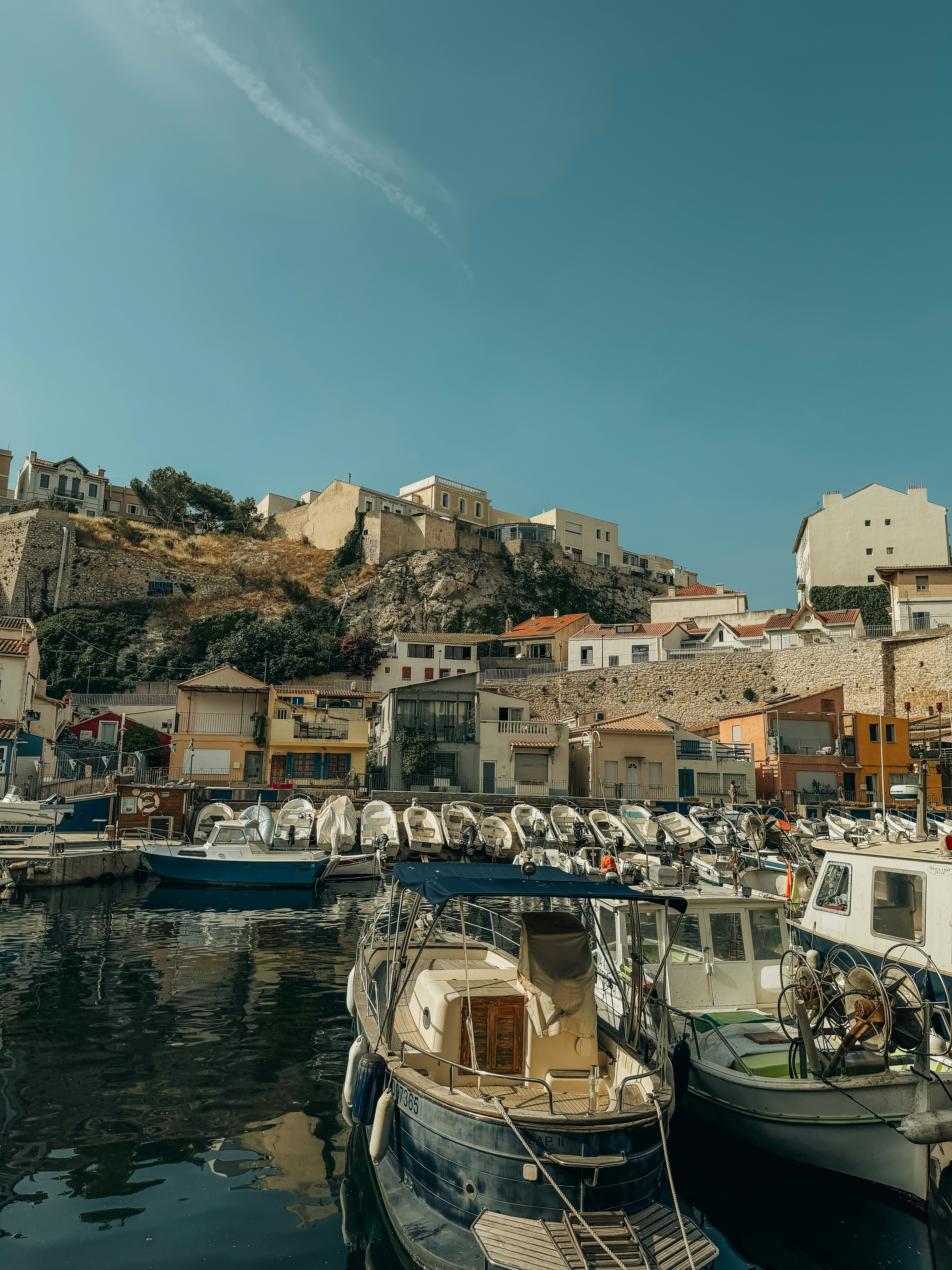 Photo by ledainelliott