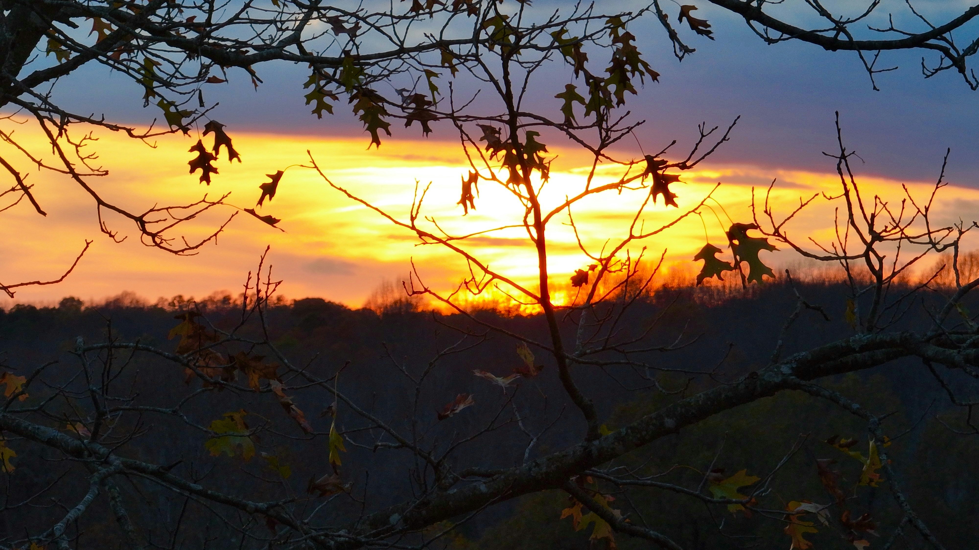 Photo by taylorpayne24