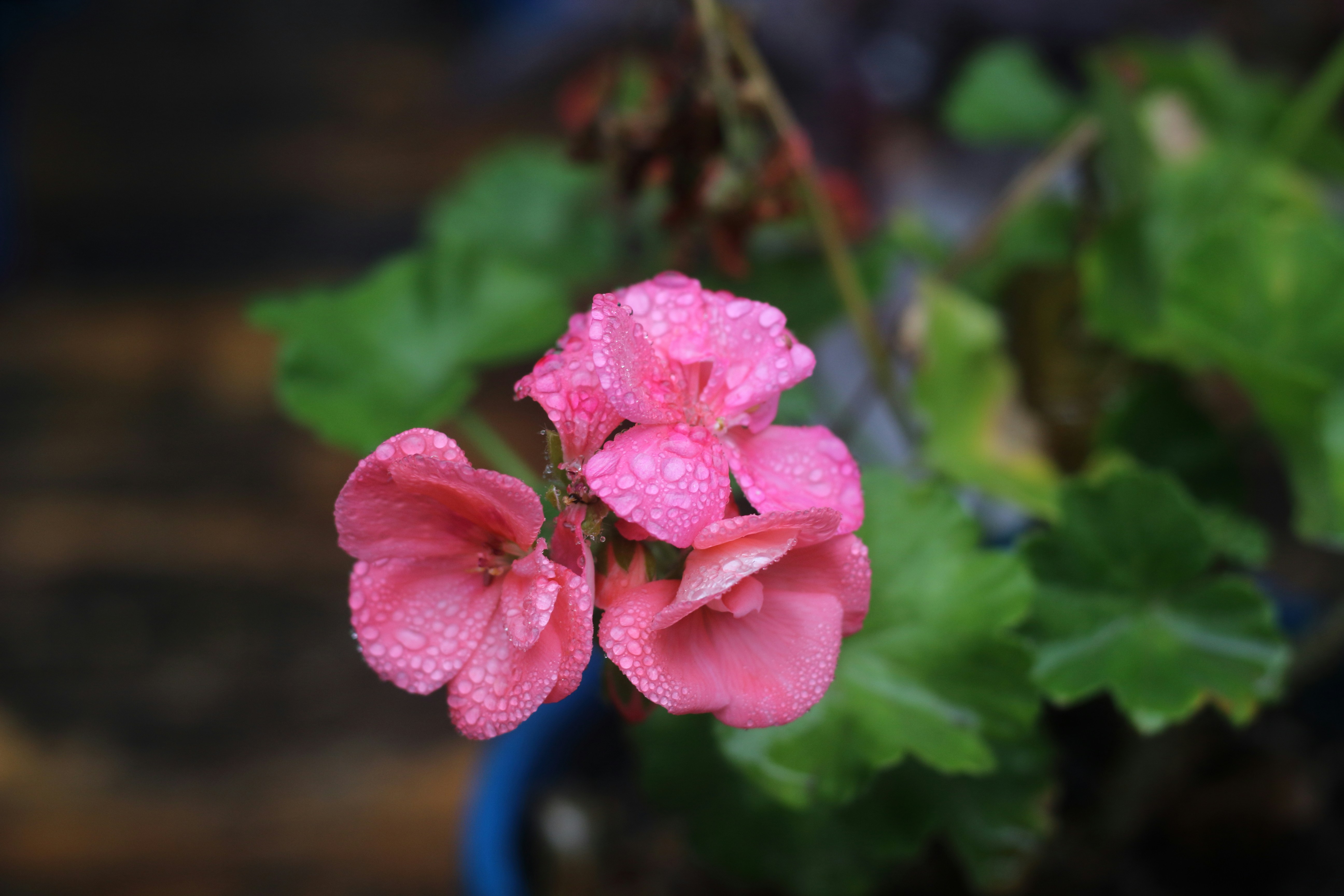 Photo by saleh_aka_jim