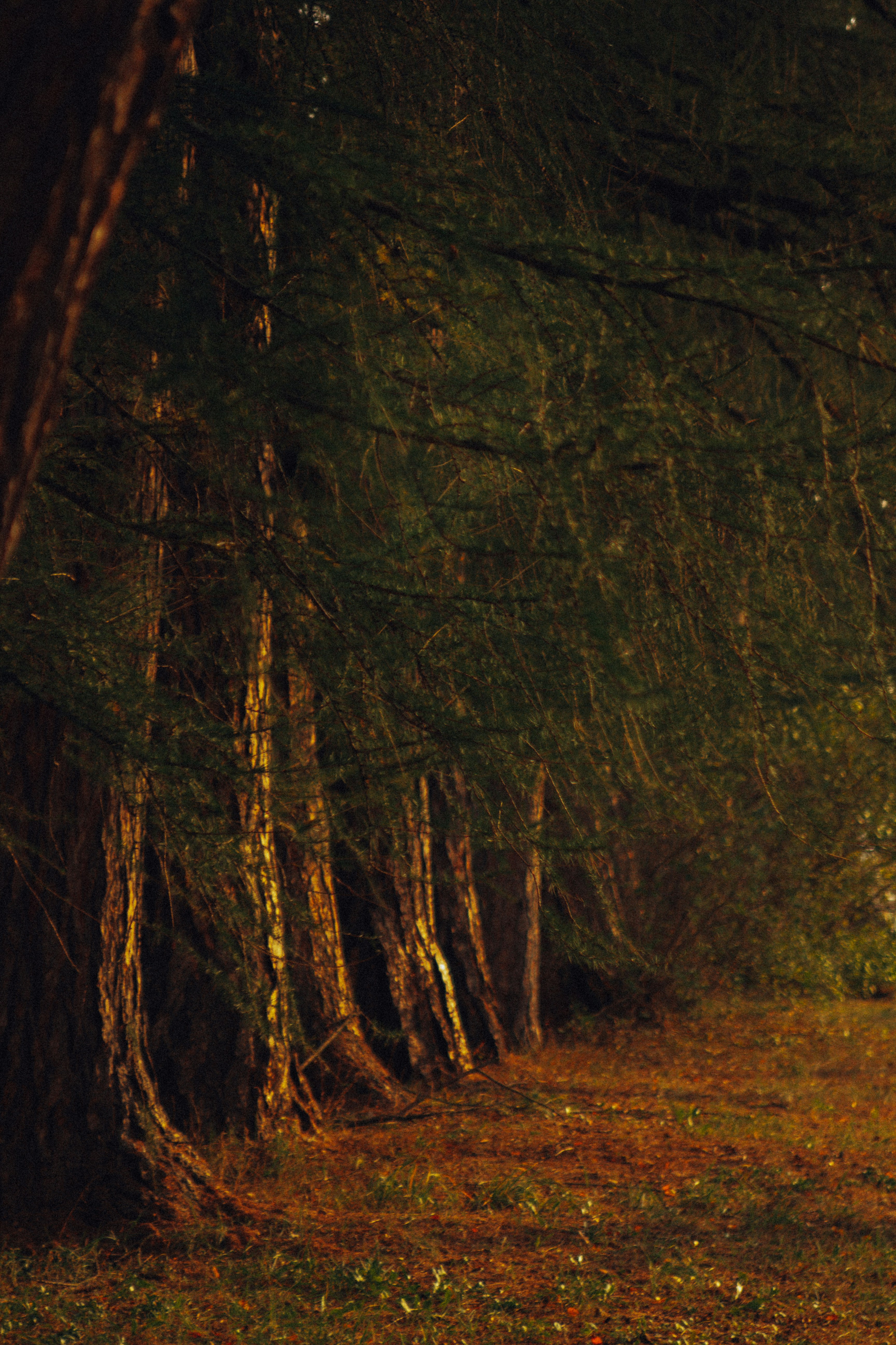 Photo by sam_badmaeva