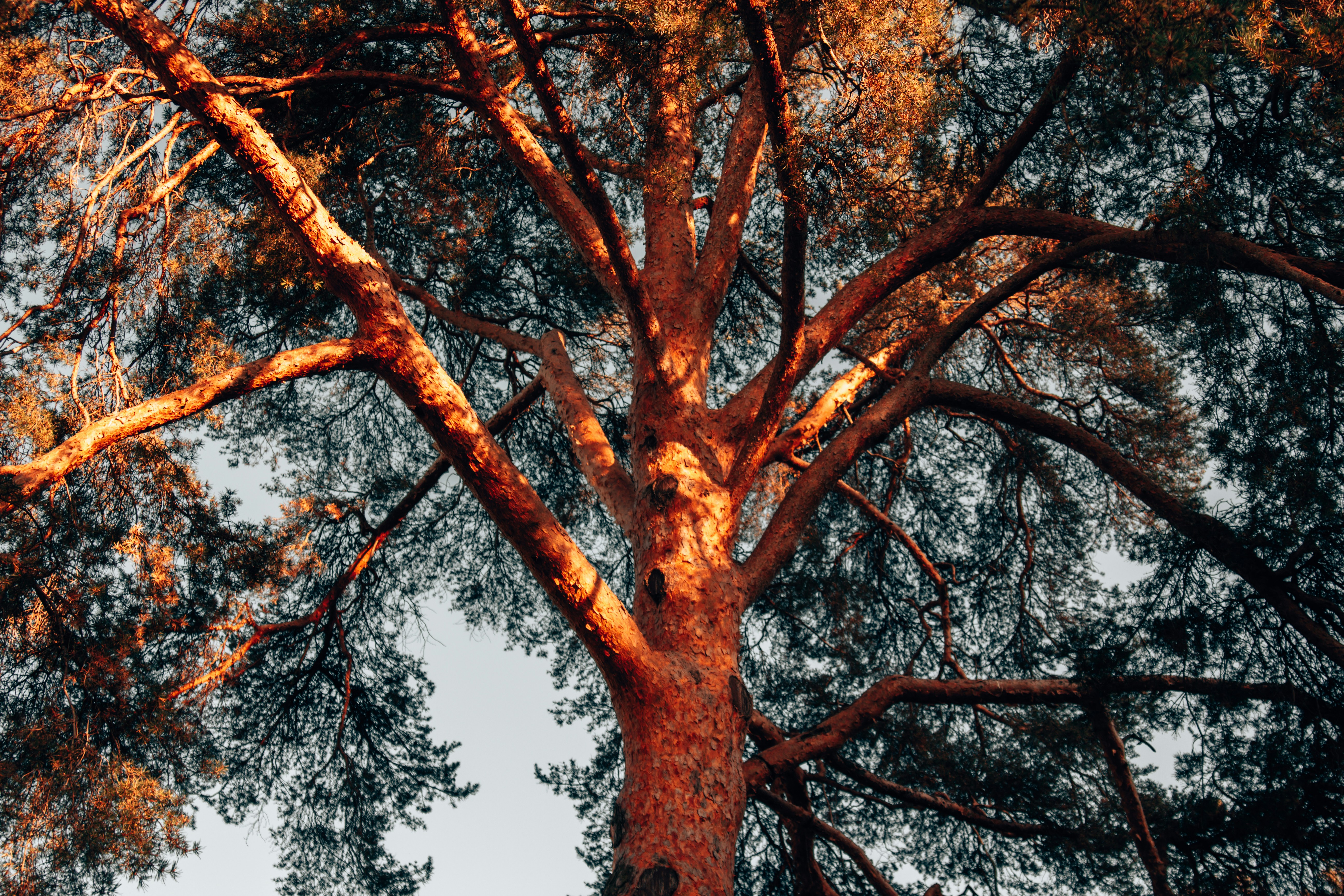 Photo by sam_badmaeva