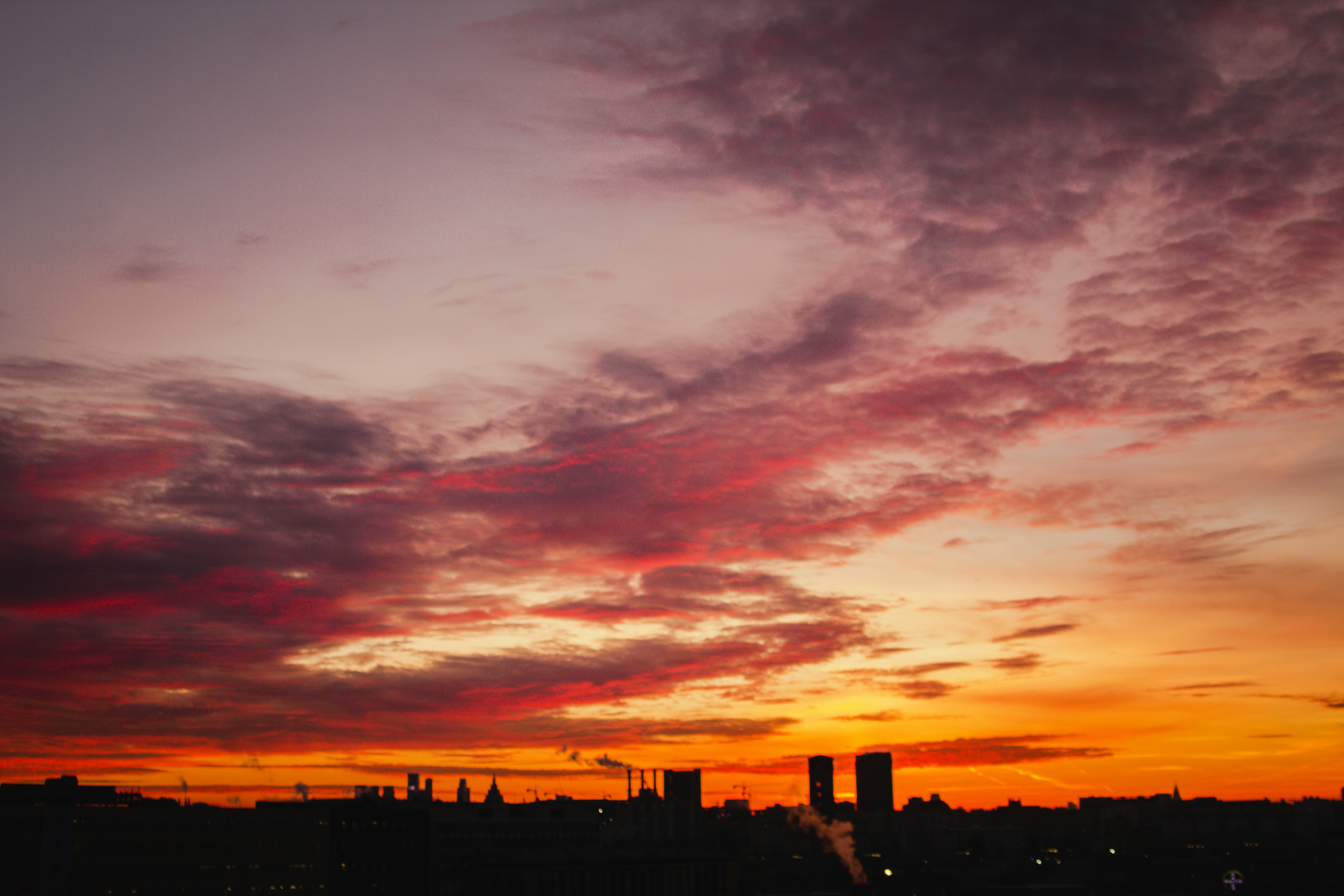 Photo by sam_badmaeva