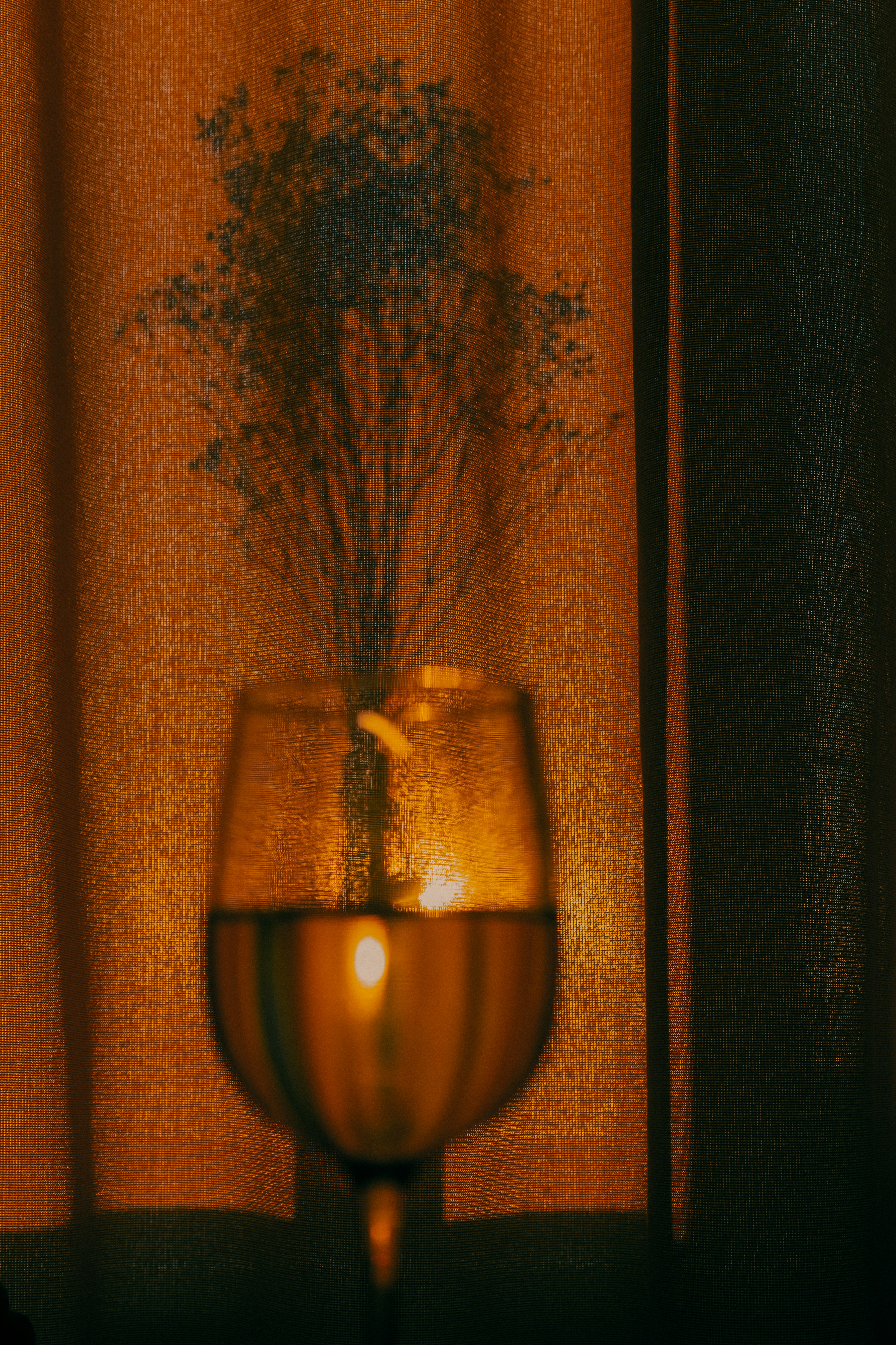 Photo by sam_badmaeva