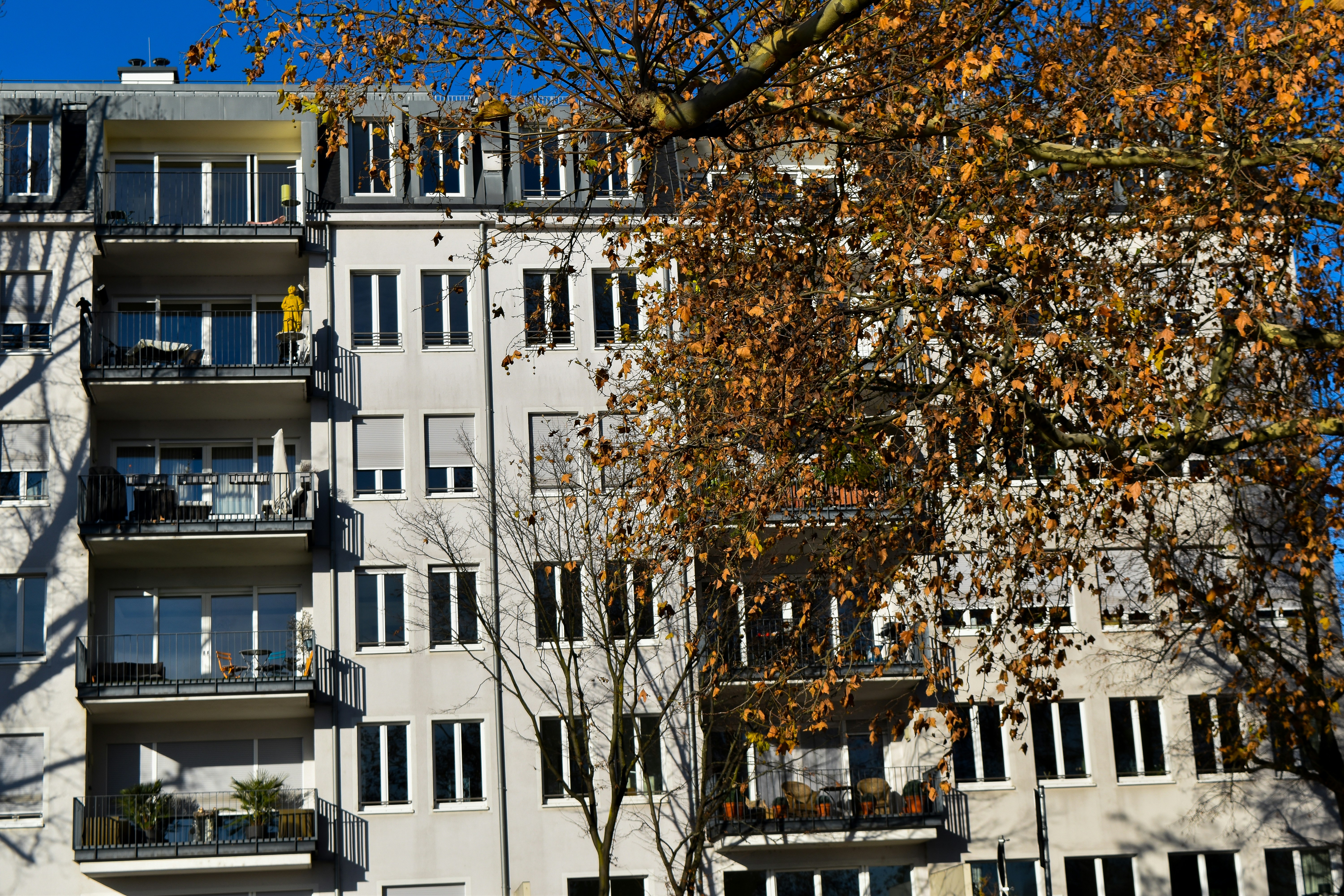 Photo by ahmed_sl___