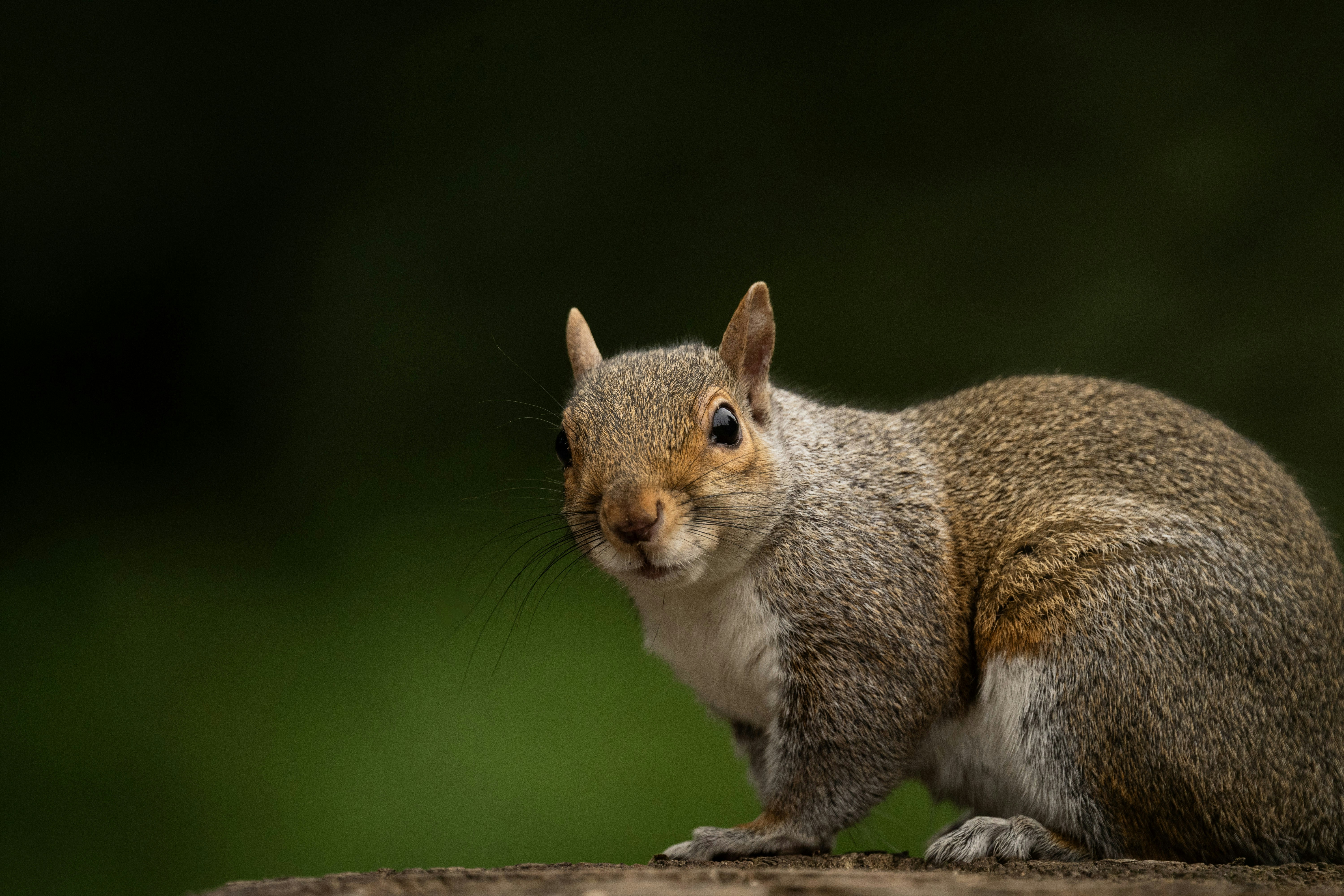 Photo by twowheelutopia