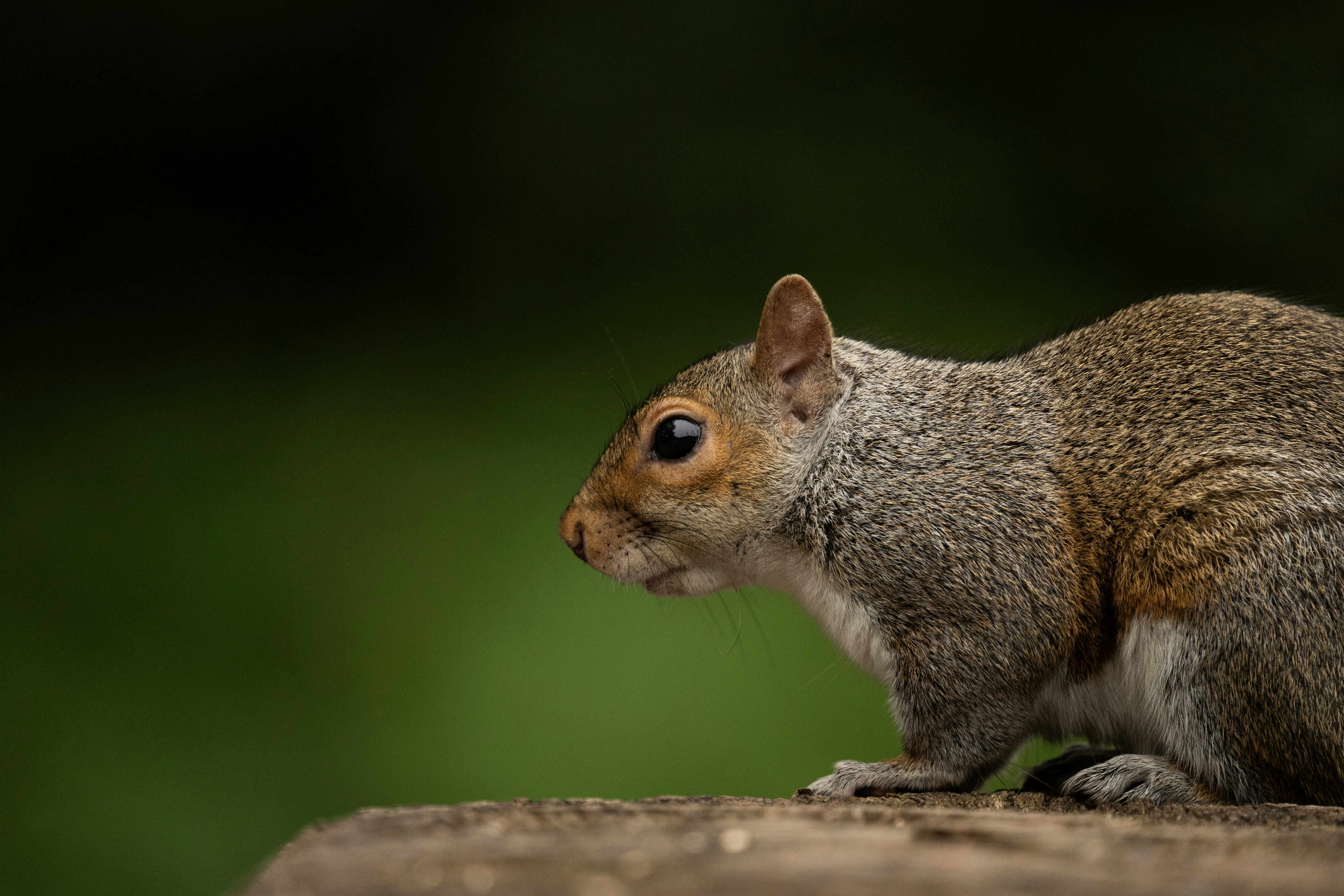 Photo by twowheelutopia