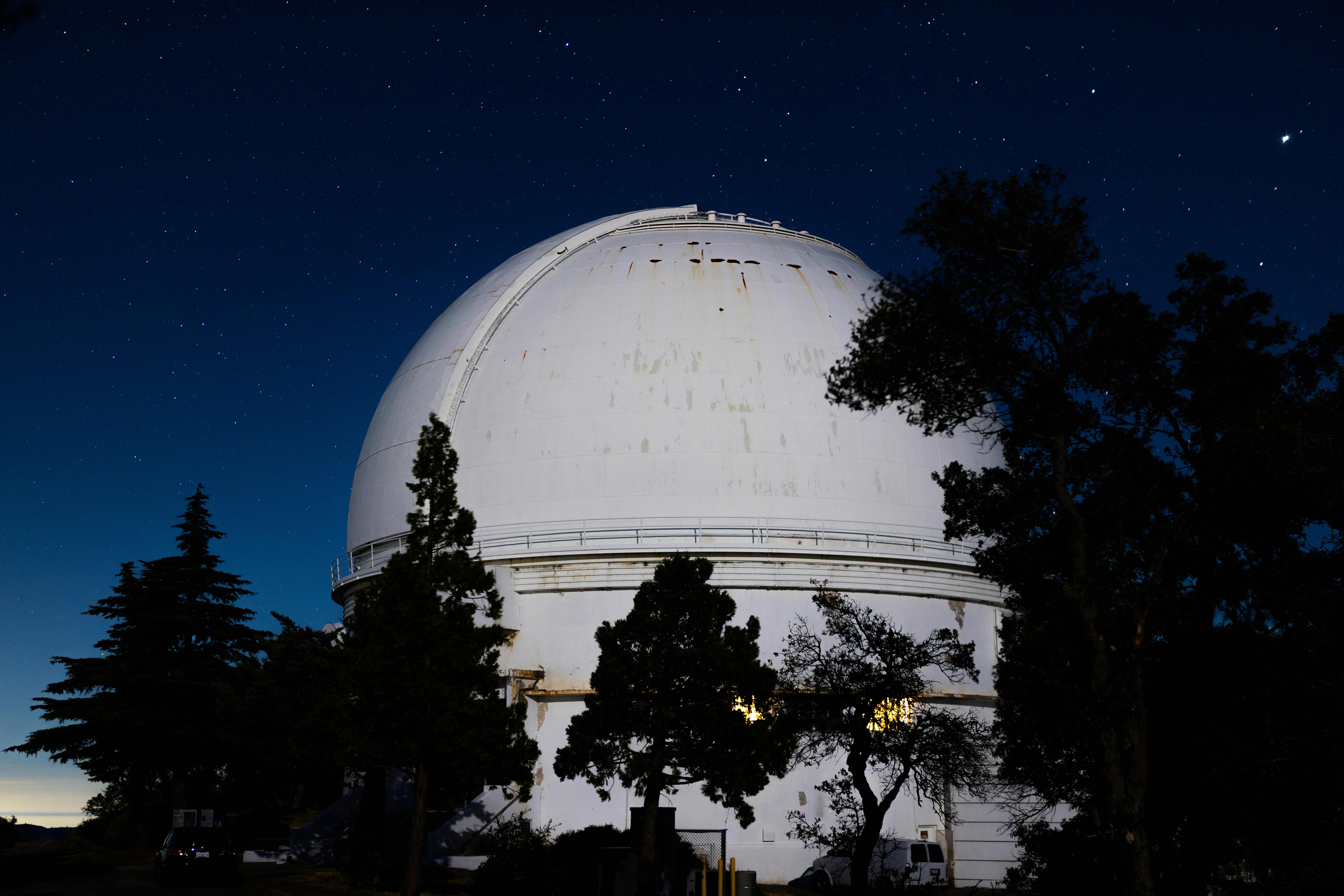 A large white dome sitting in the middle of a forest
