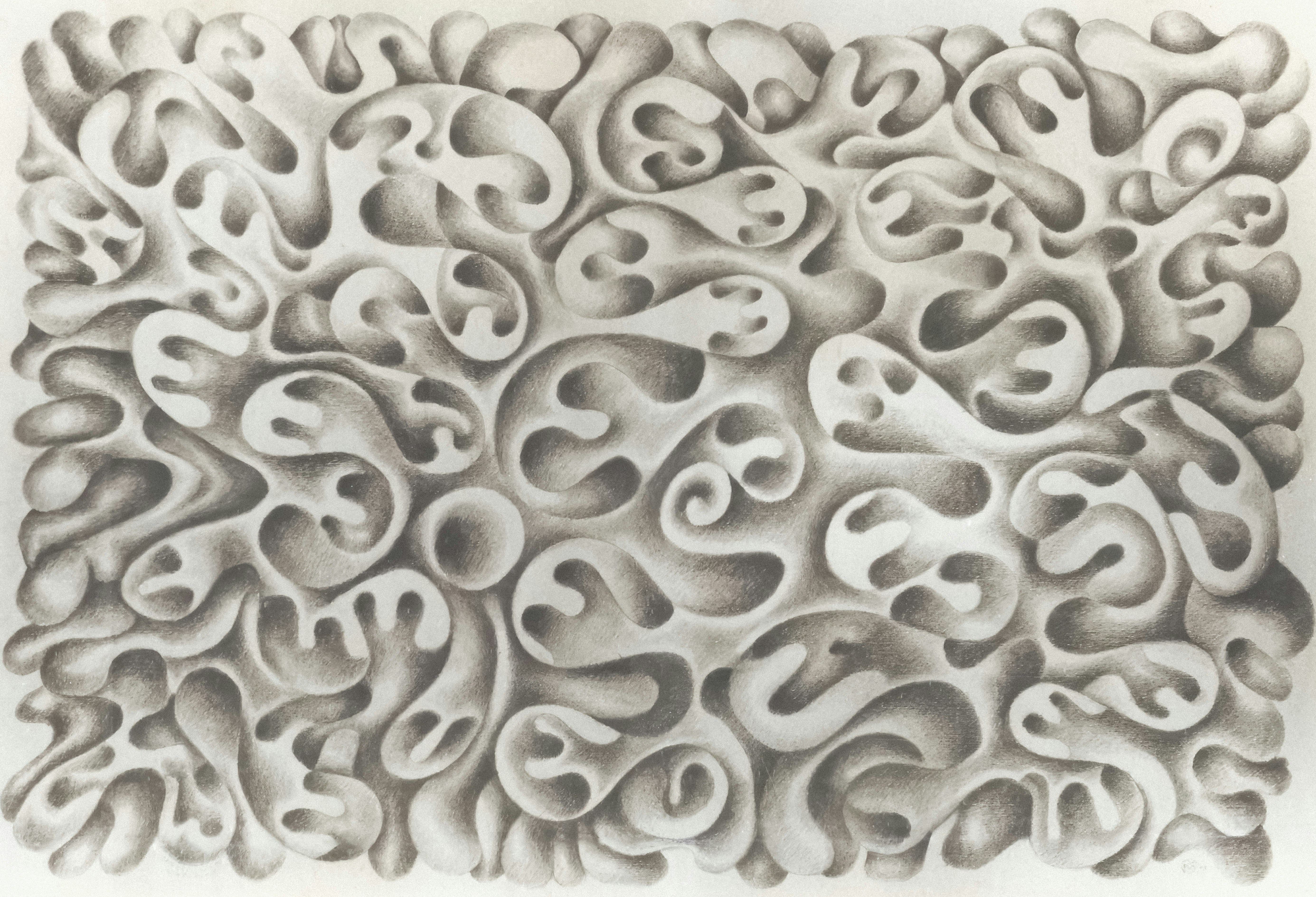 Photo by wikisinaloa