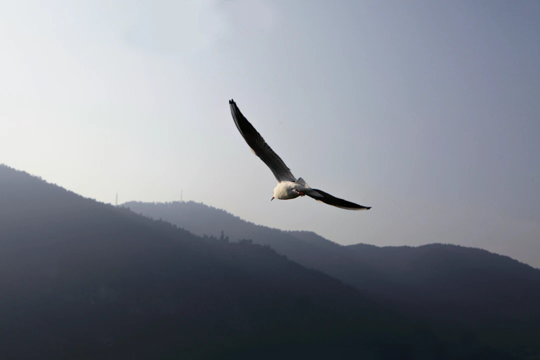 2-Day Luxury Kunming Itinerary: Premium Travel Guide