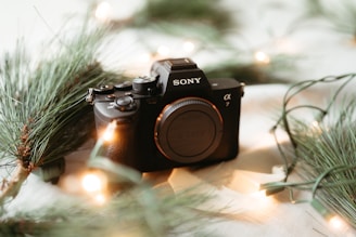 A camera sitting on top of a table next to a pine tree