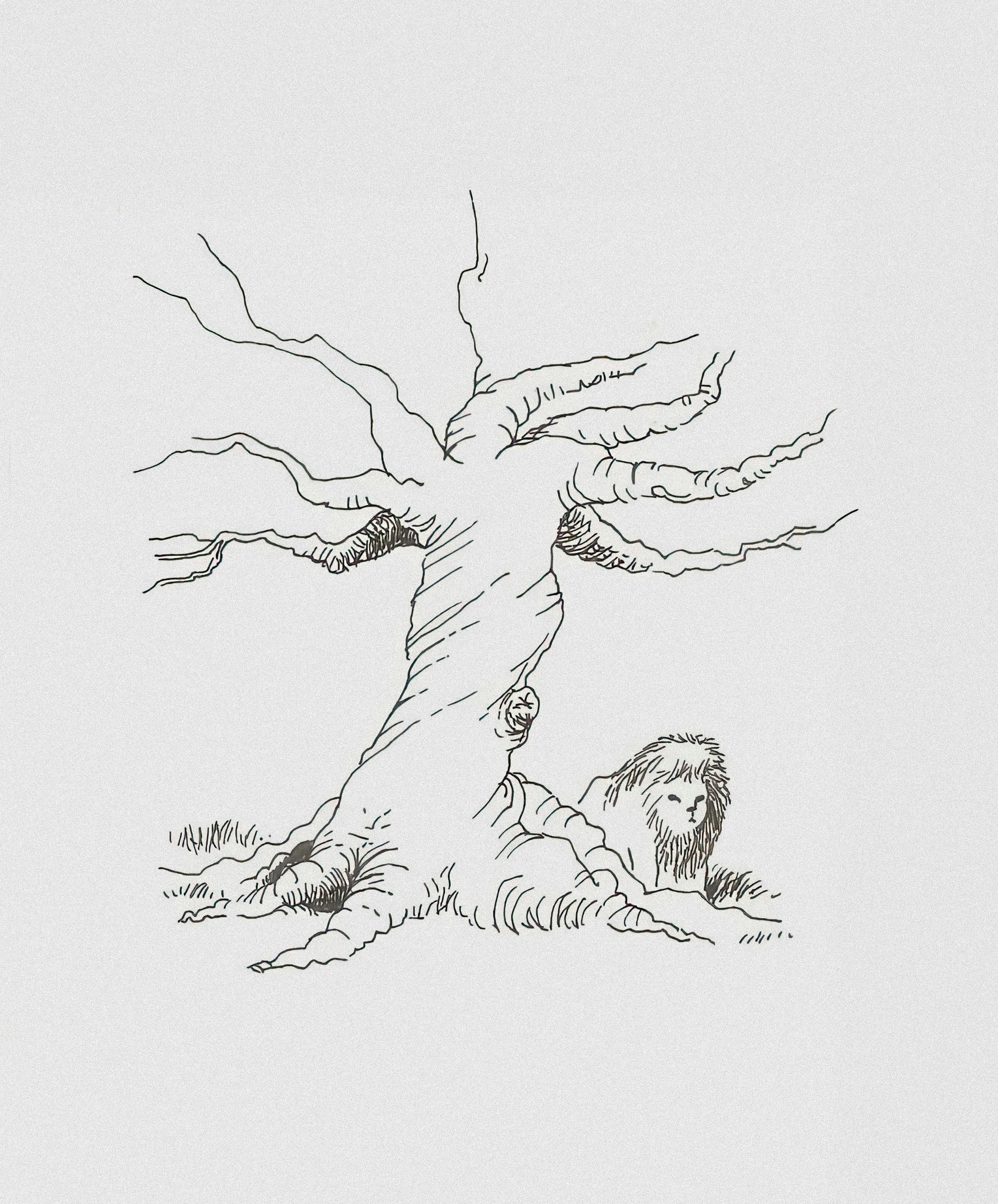 Photo by wikisinaloa