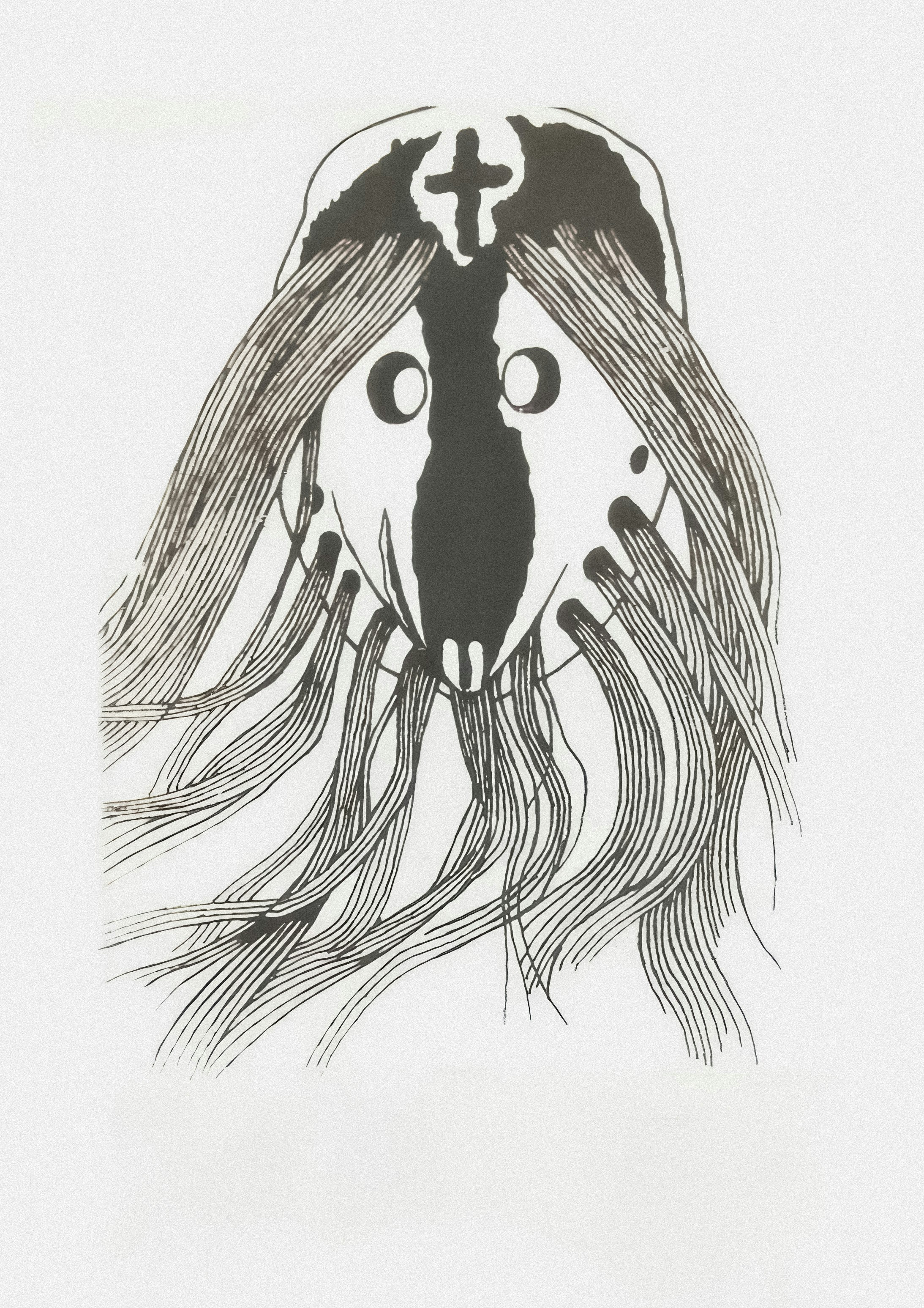 Photo by wikisinaloa