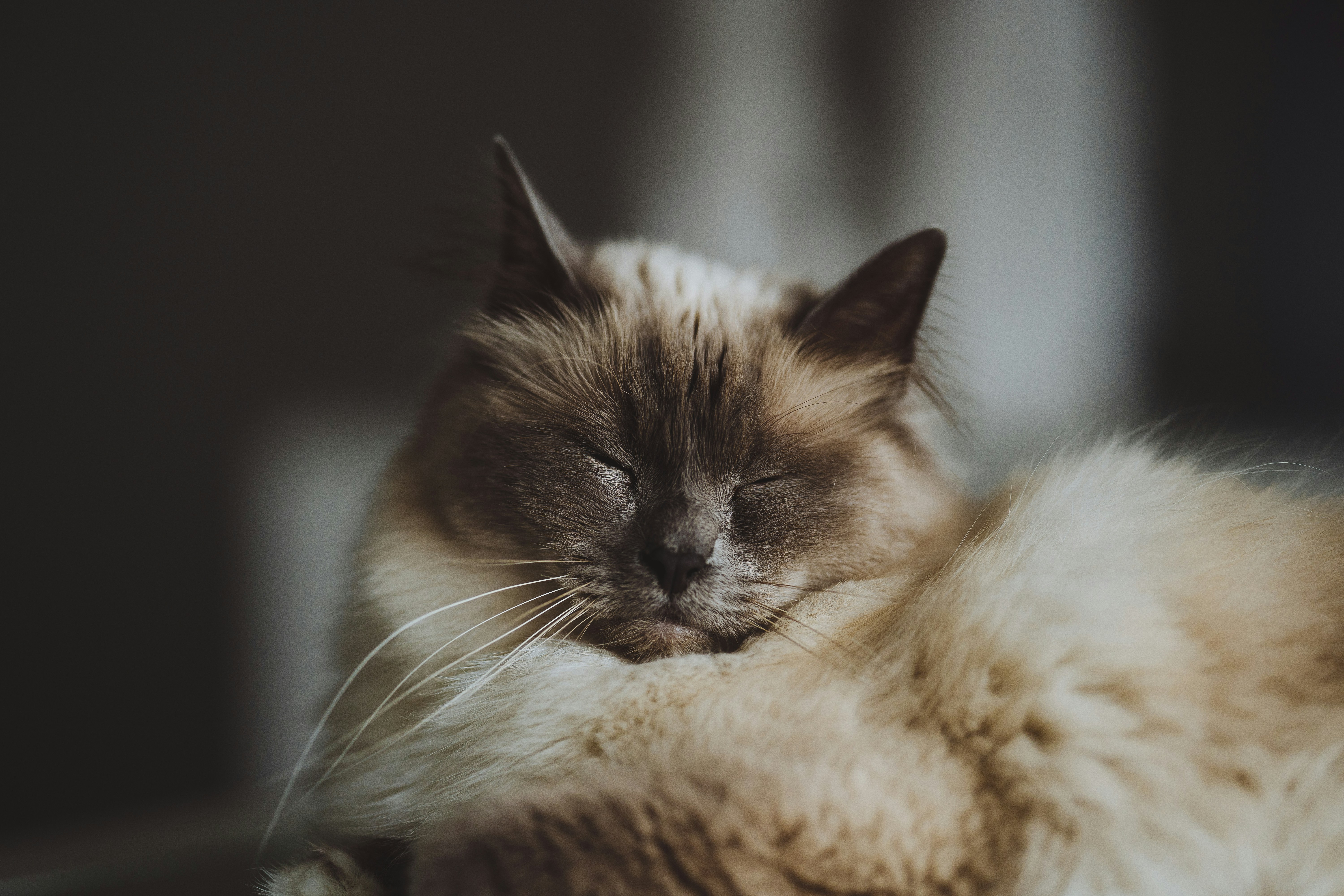 Photo by omarvellous14