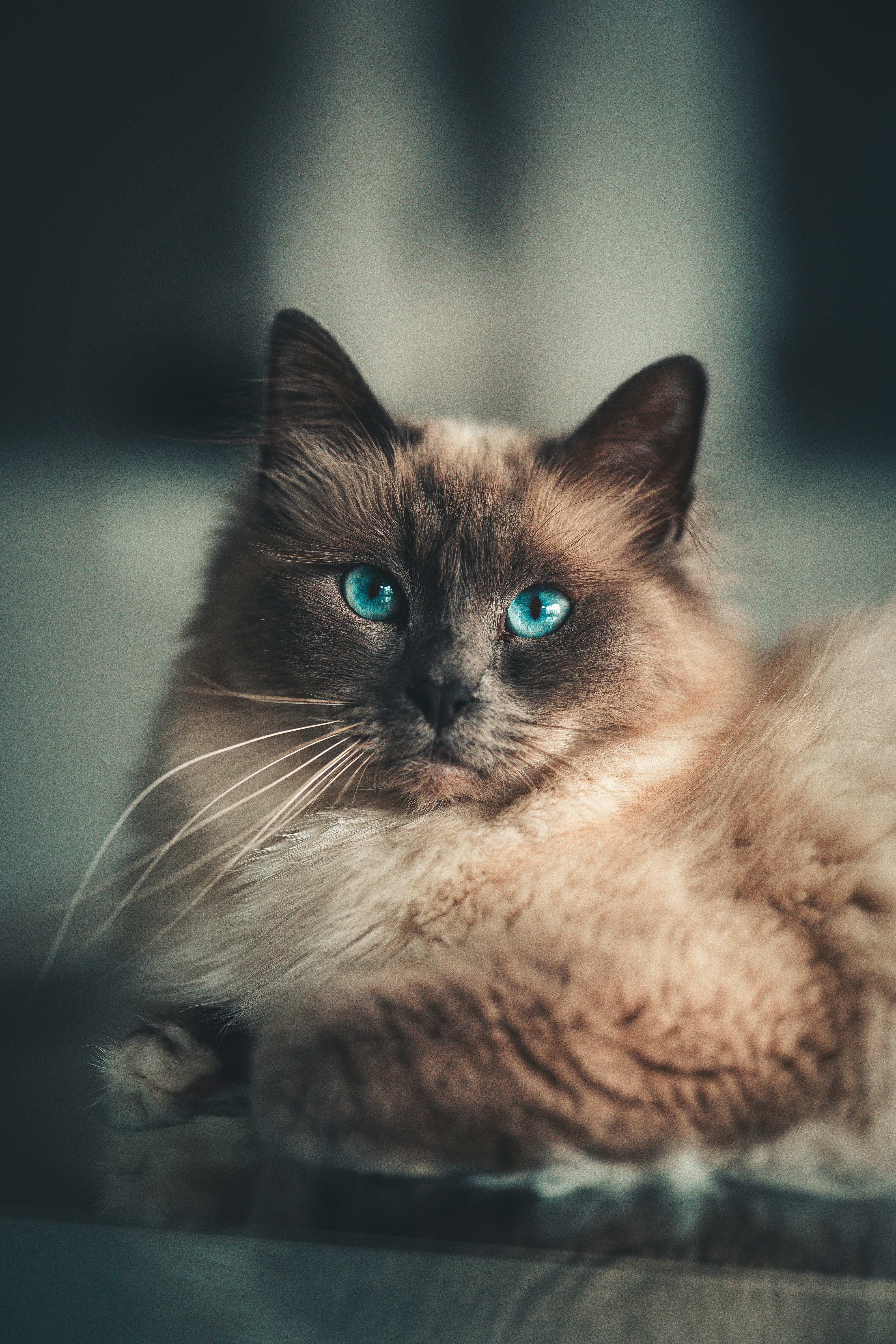 Photo by omarvellous14