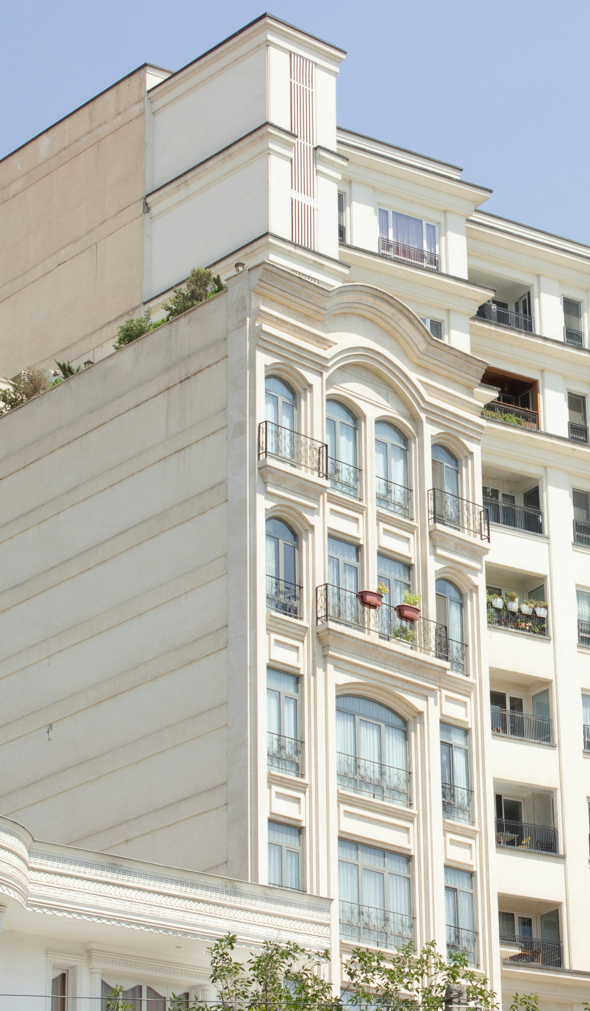 Photo by elham_frame