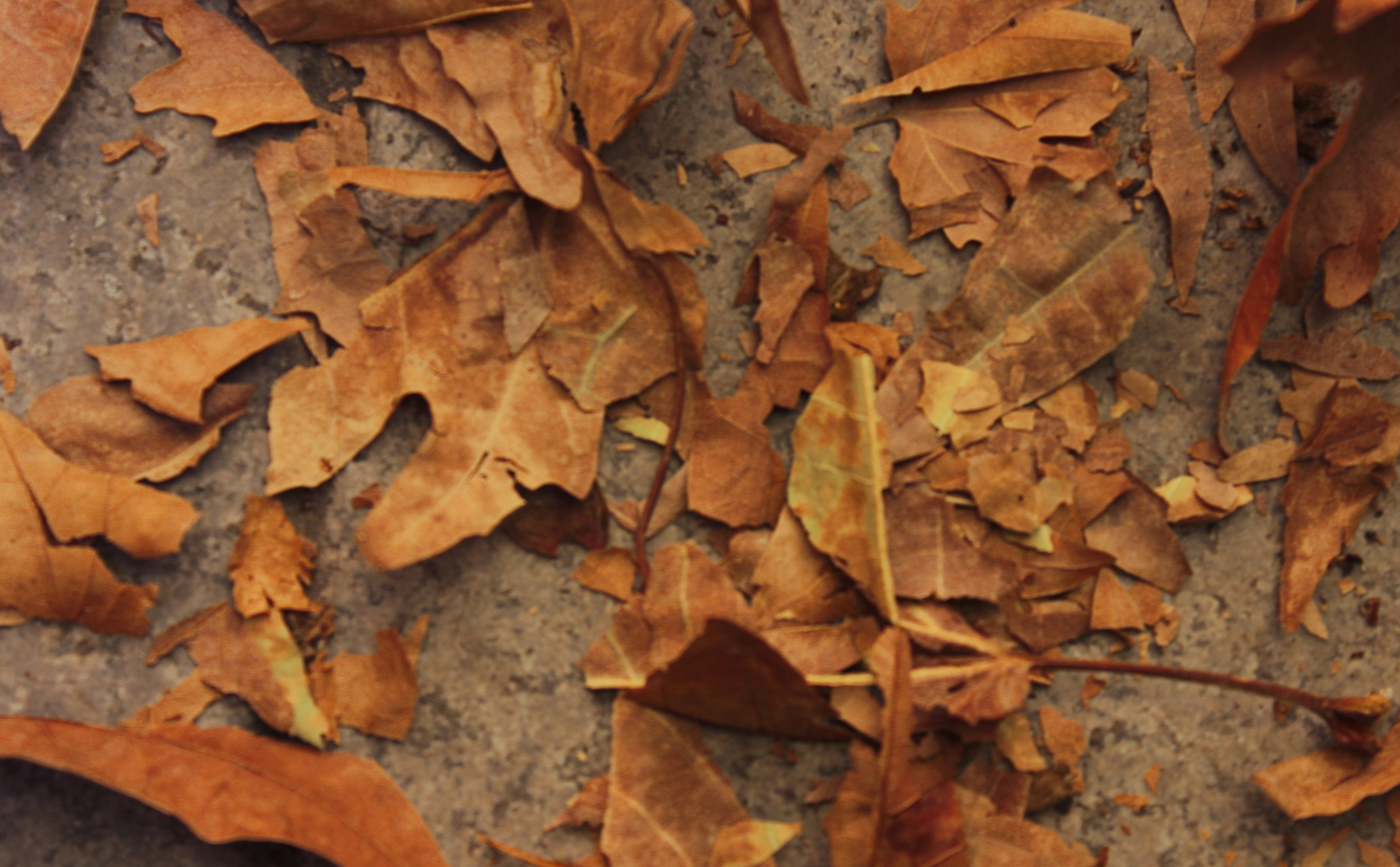 Photo by elham_frame