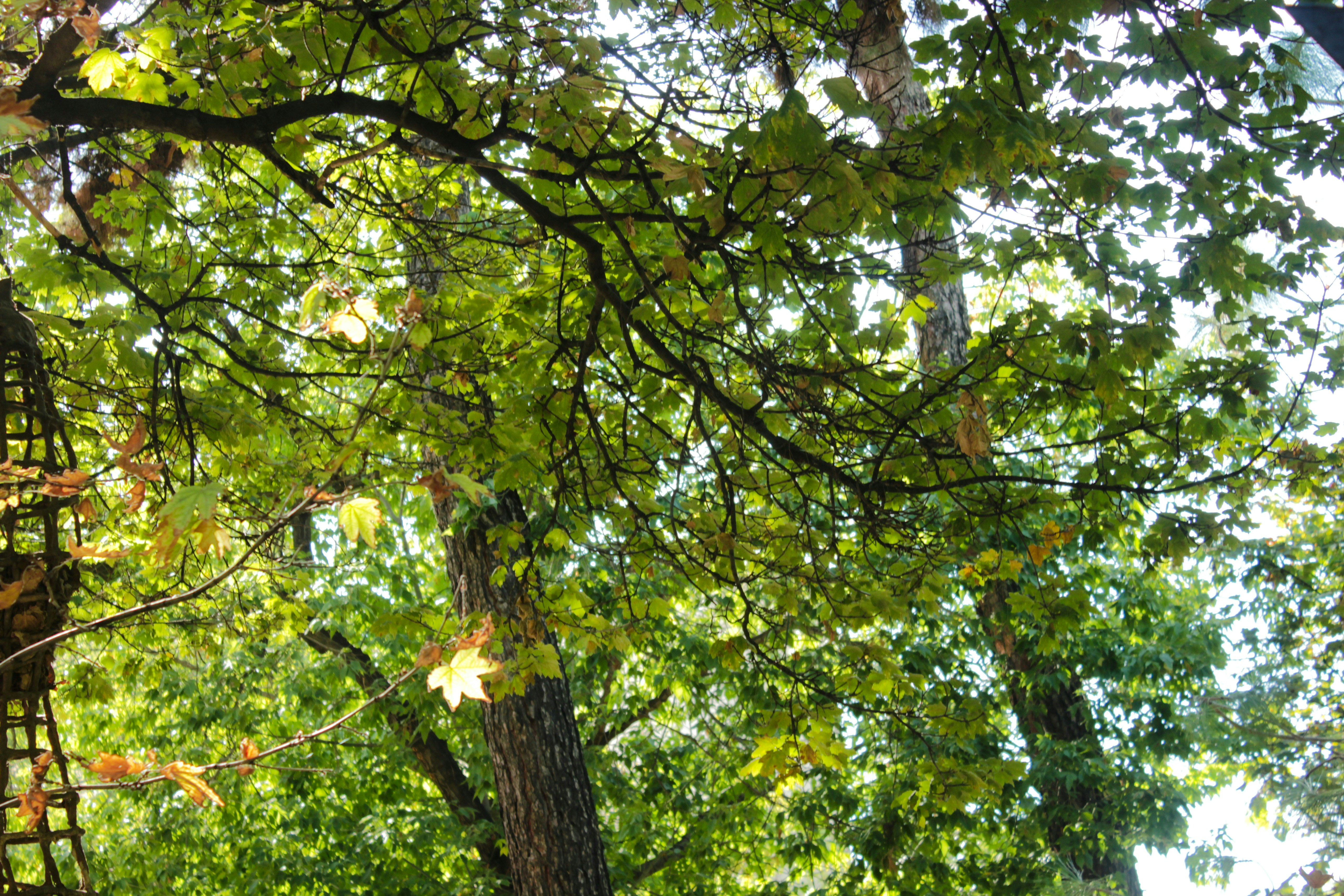 Photo by elham_frame