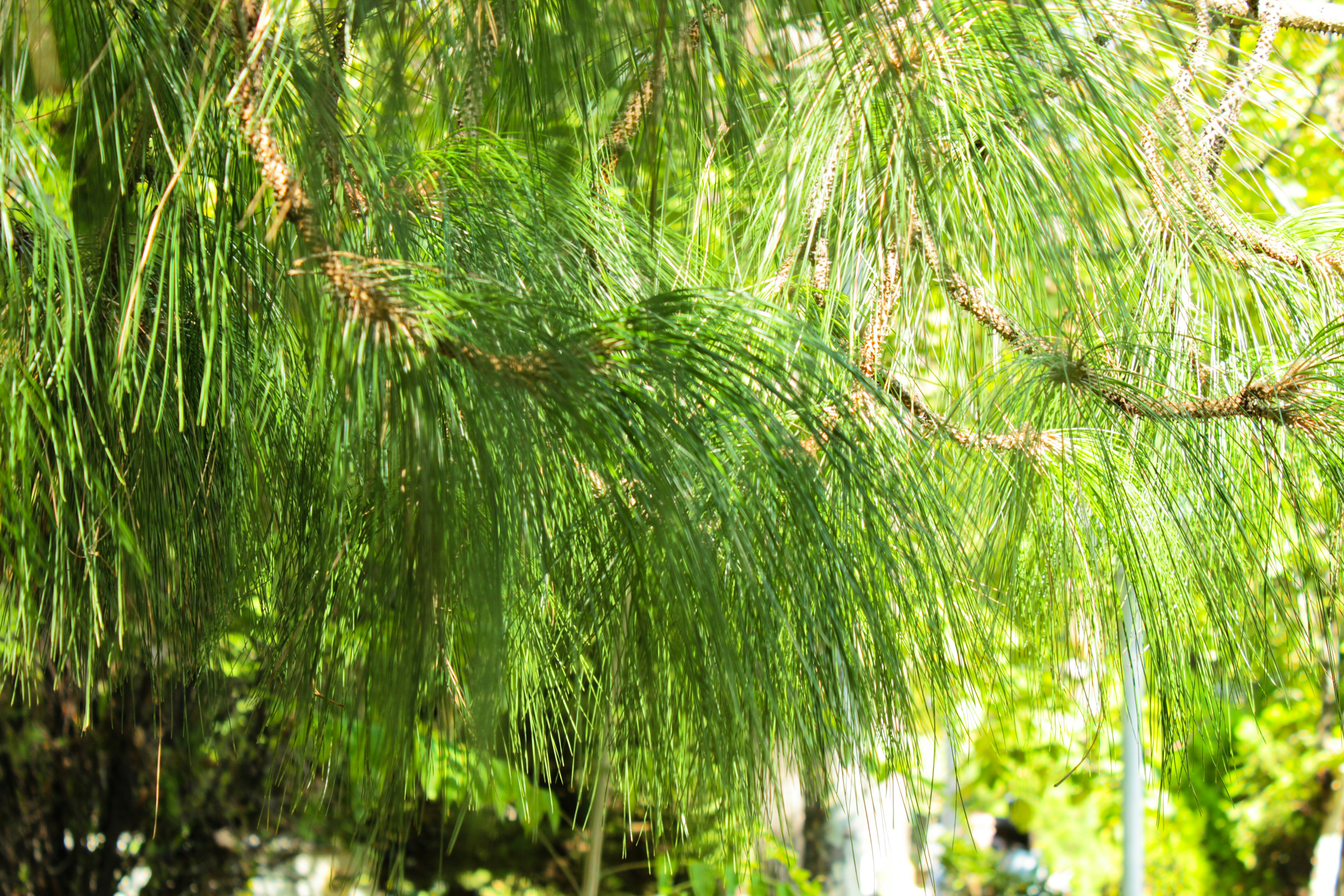 Photo by elham_frame