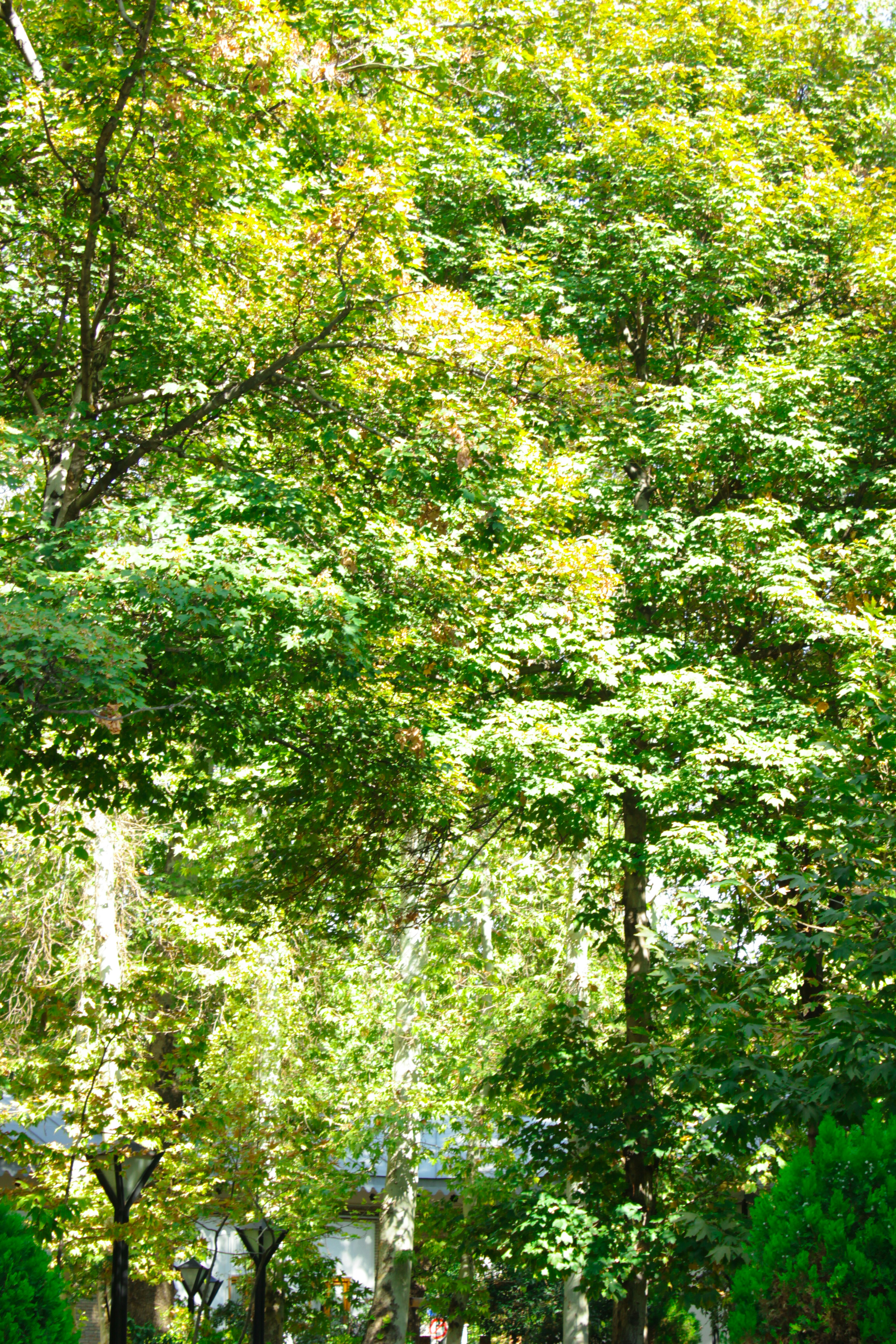 Photo by elham_frame