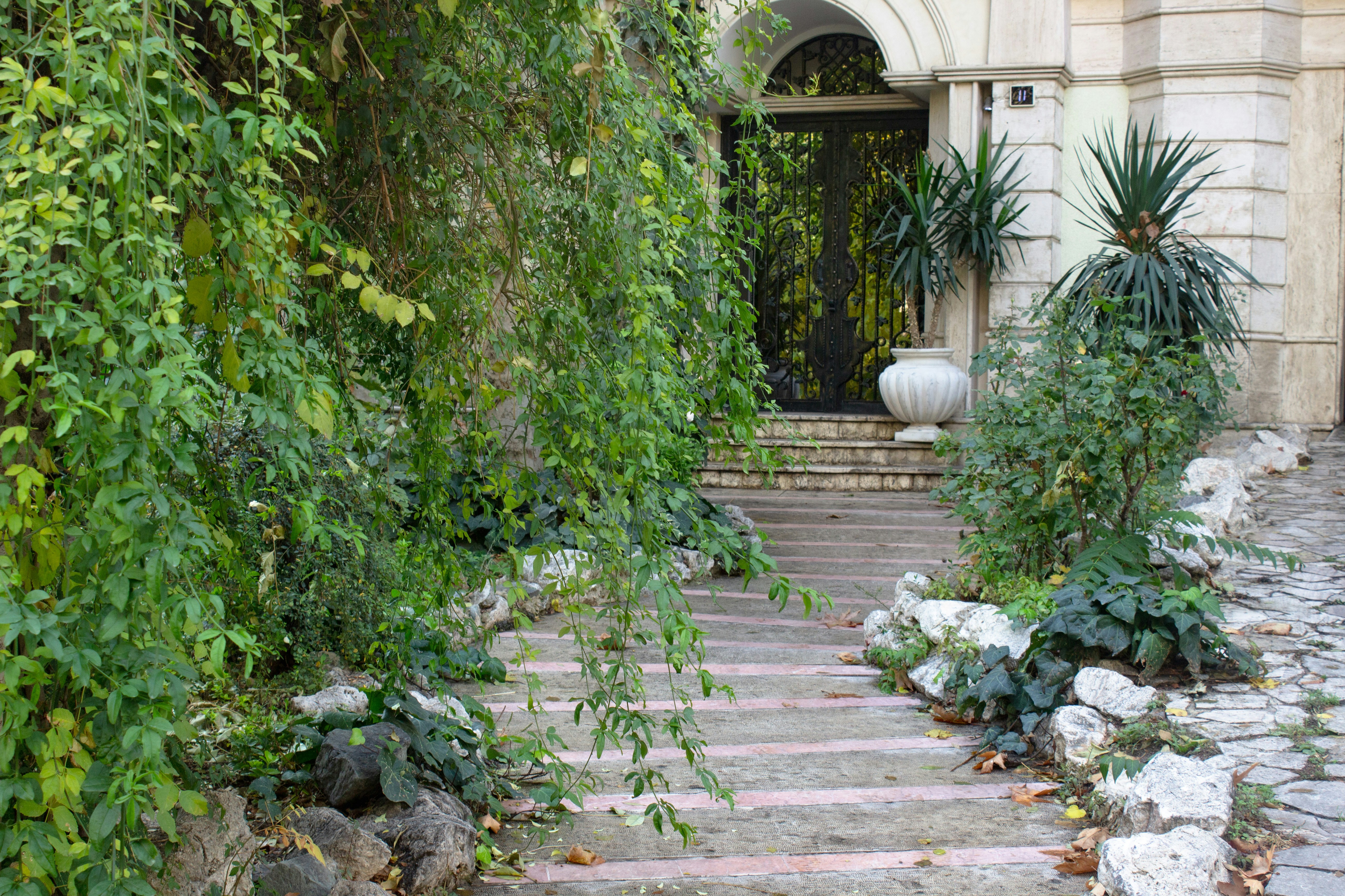 Photo by elham_frame