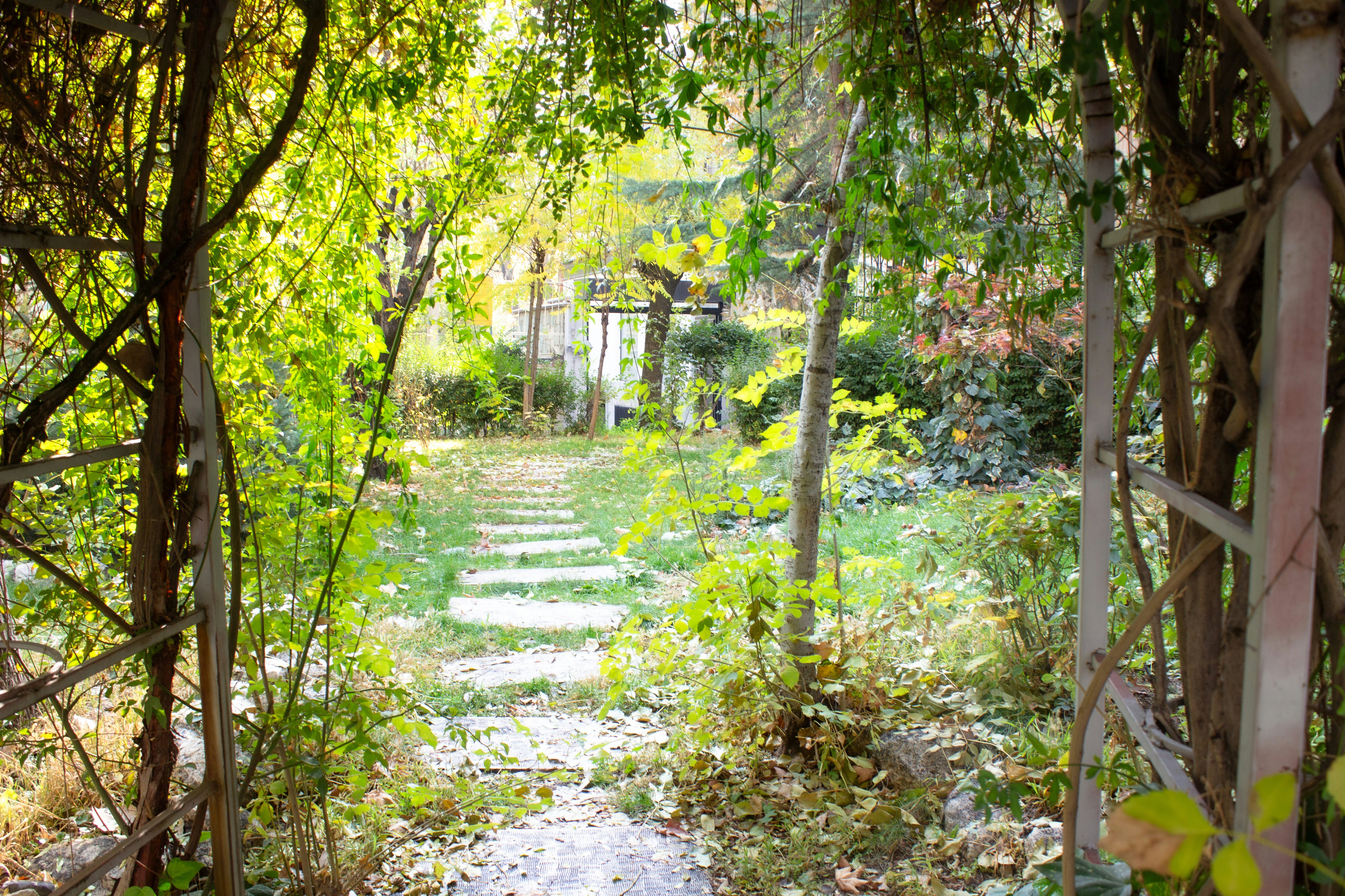 Photo by elham_frame