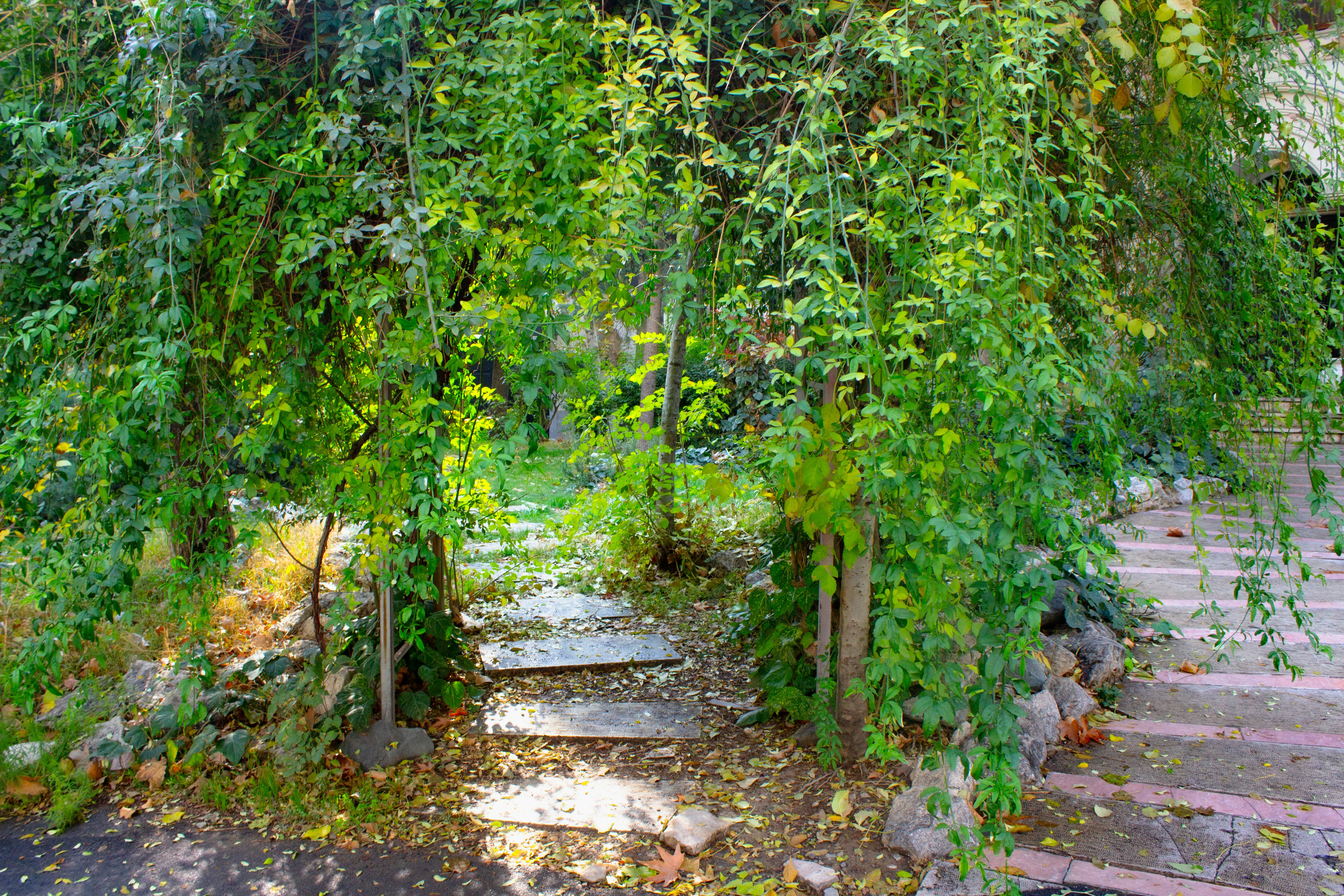 Photo by elham_frame